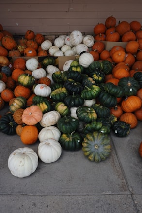 A variety of water pumps displayed in a store.