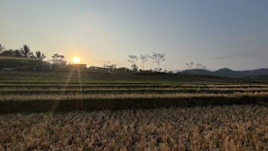 A serene sunset over a quiet village with terraced fields stretching into the distance