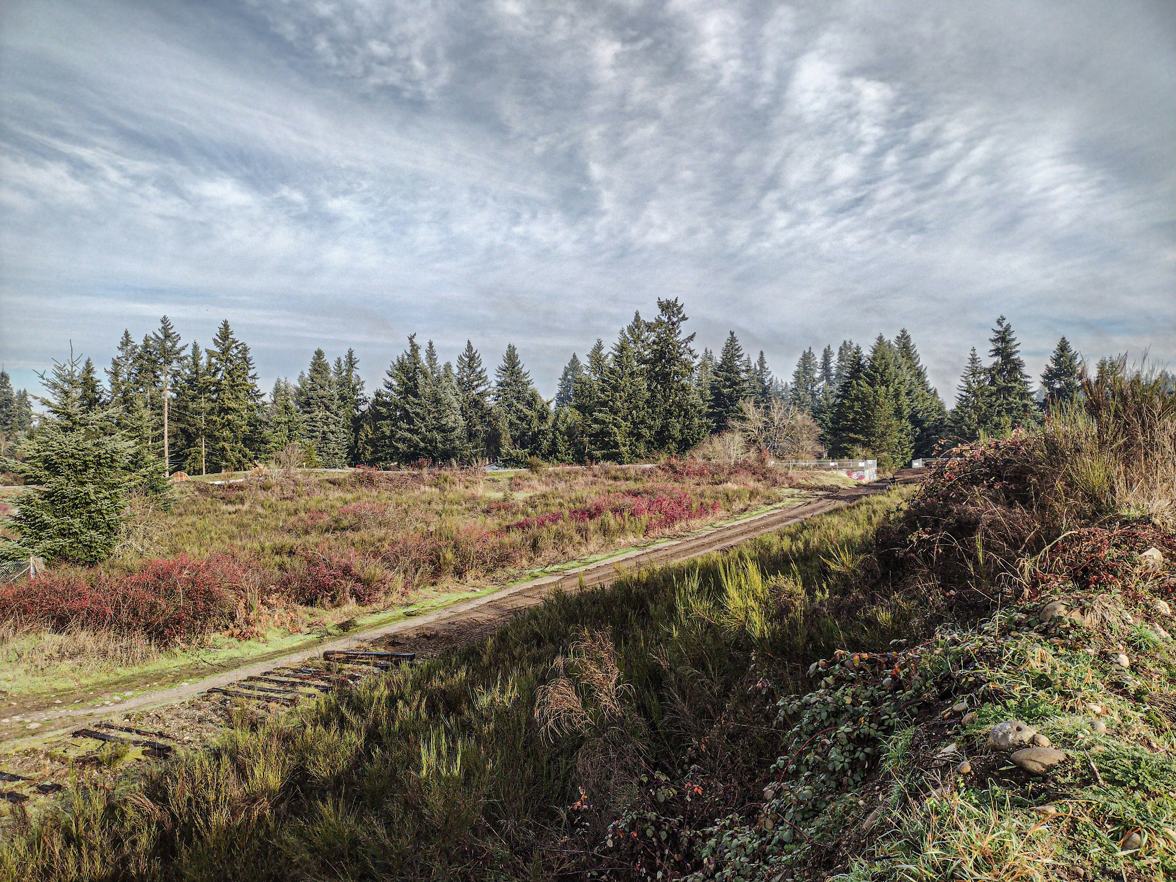 Photo by prphotography262