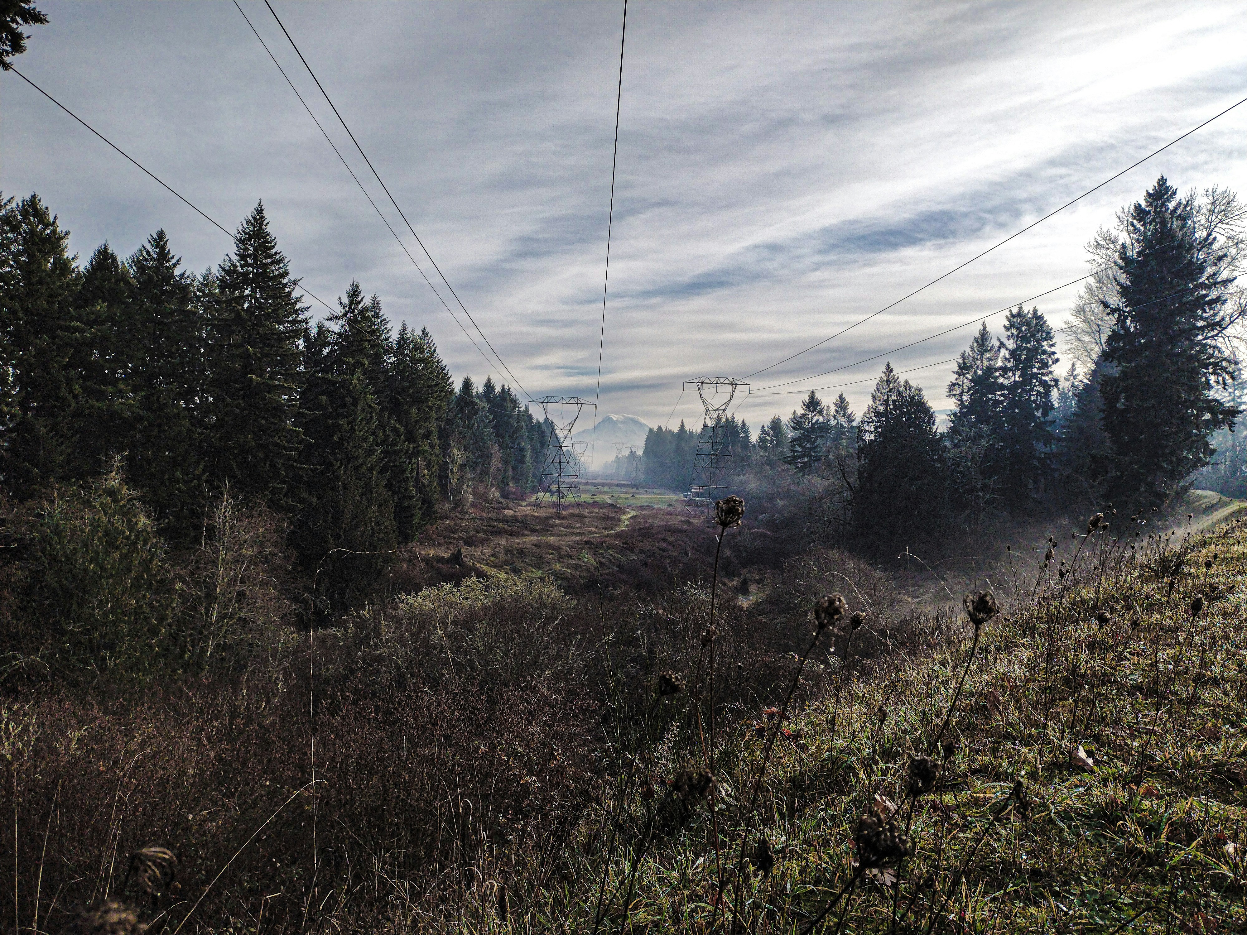 Photo by prphotography262