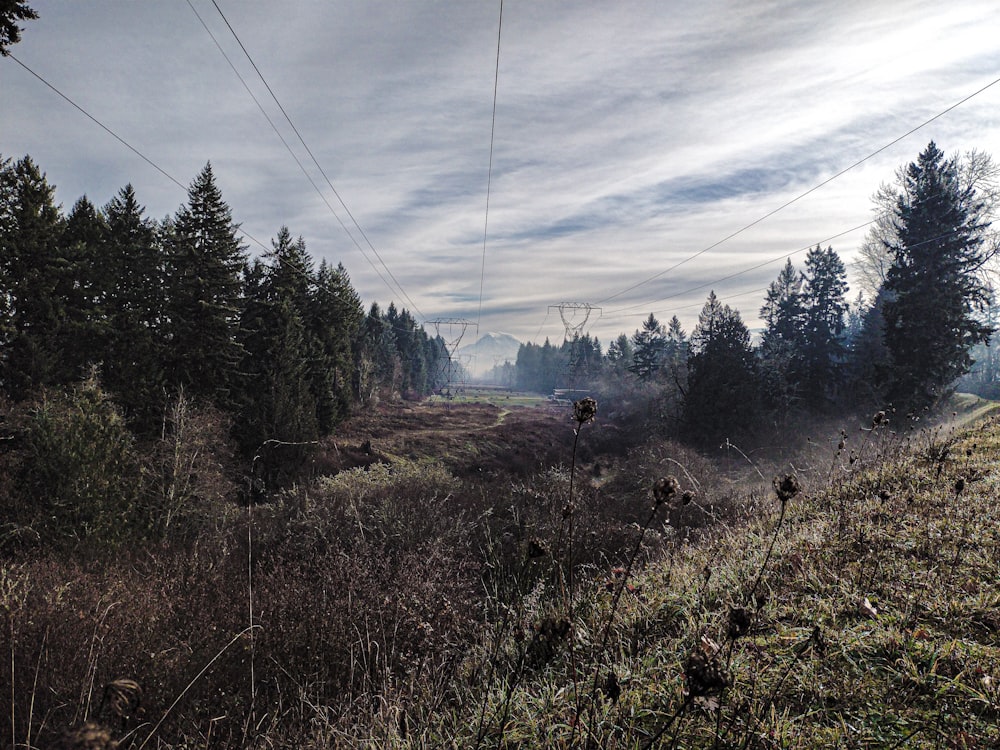 a view of a field with trees and mountains in the background