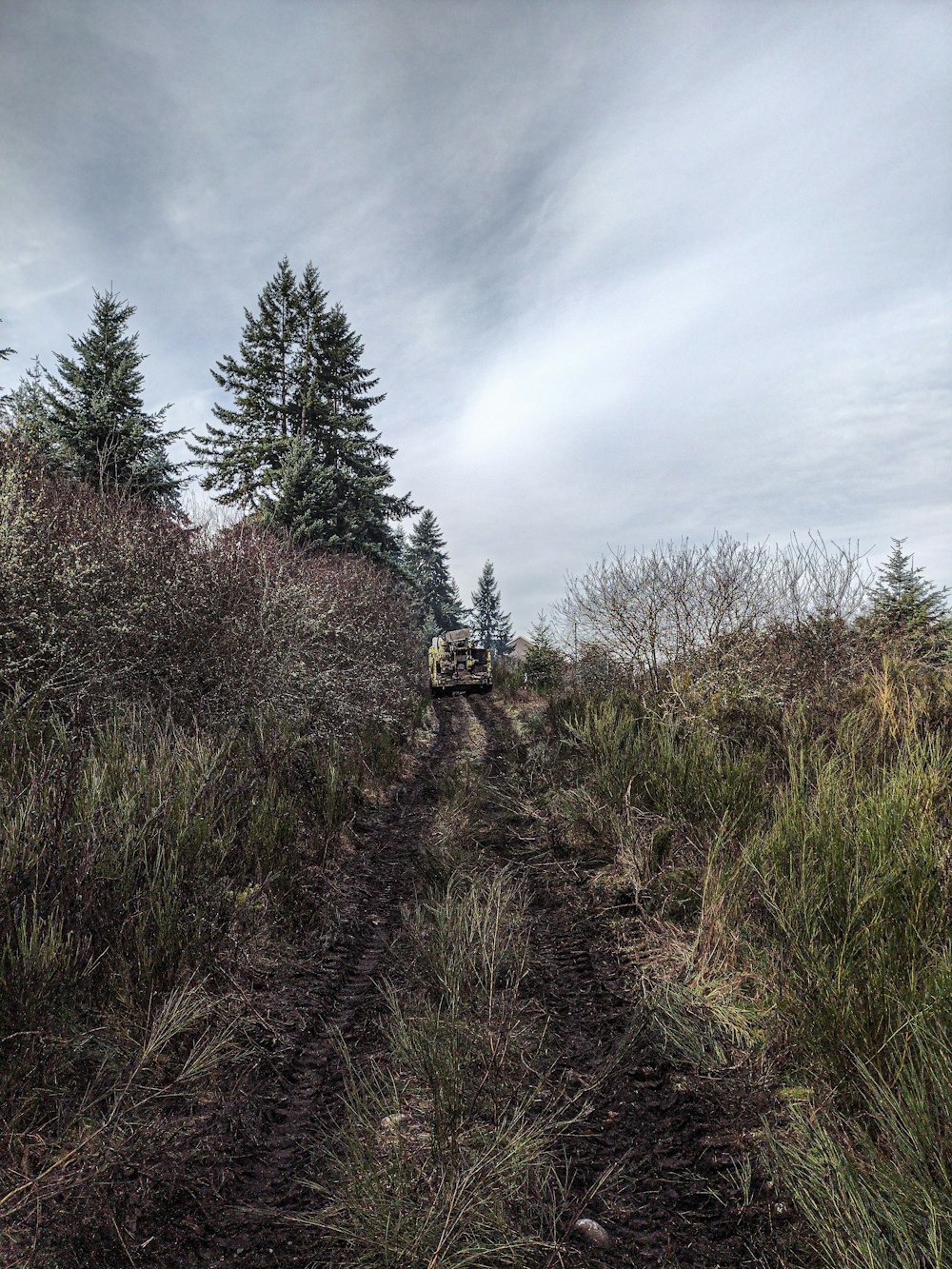 a truck driving down a dirt road next to a forest