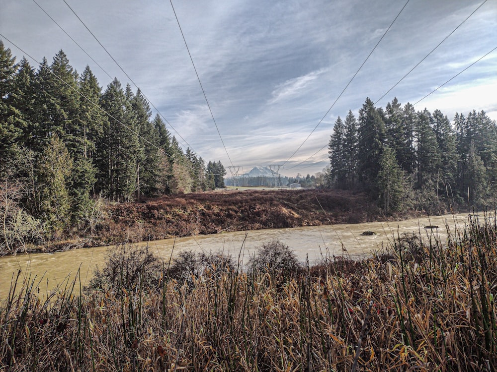 a river running through a forest with power lines above it