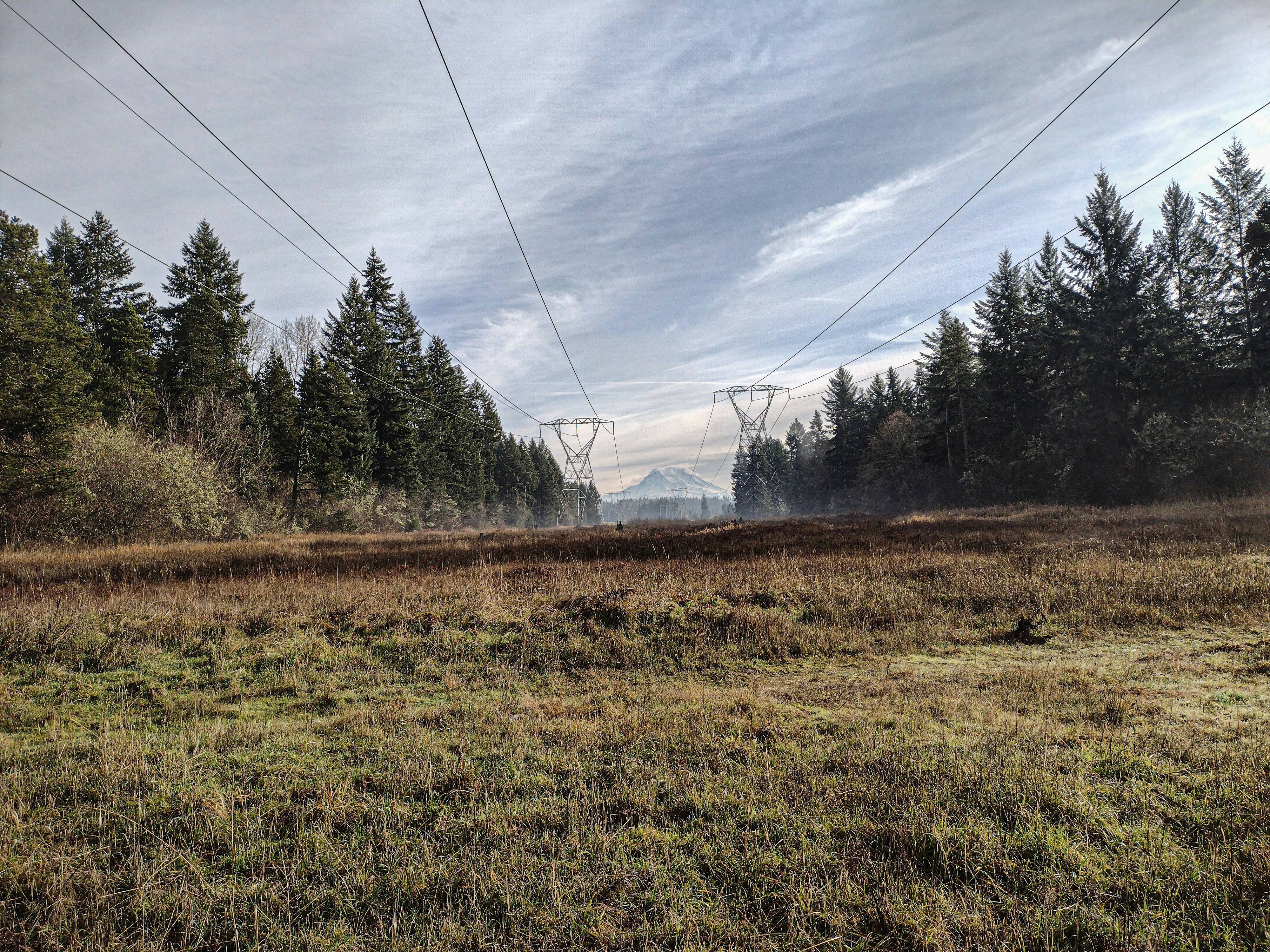 Photo by prphotography262