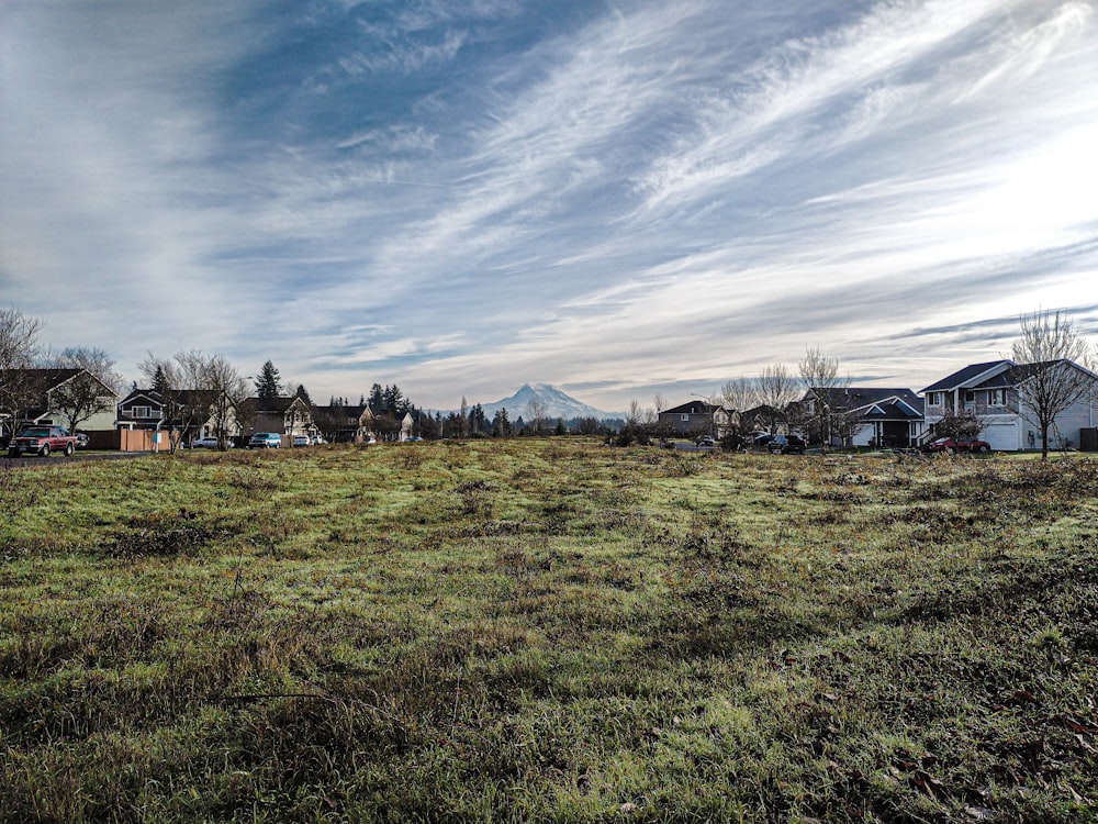 a grassy field with houses in the background
