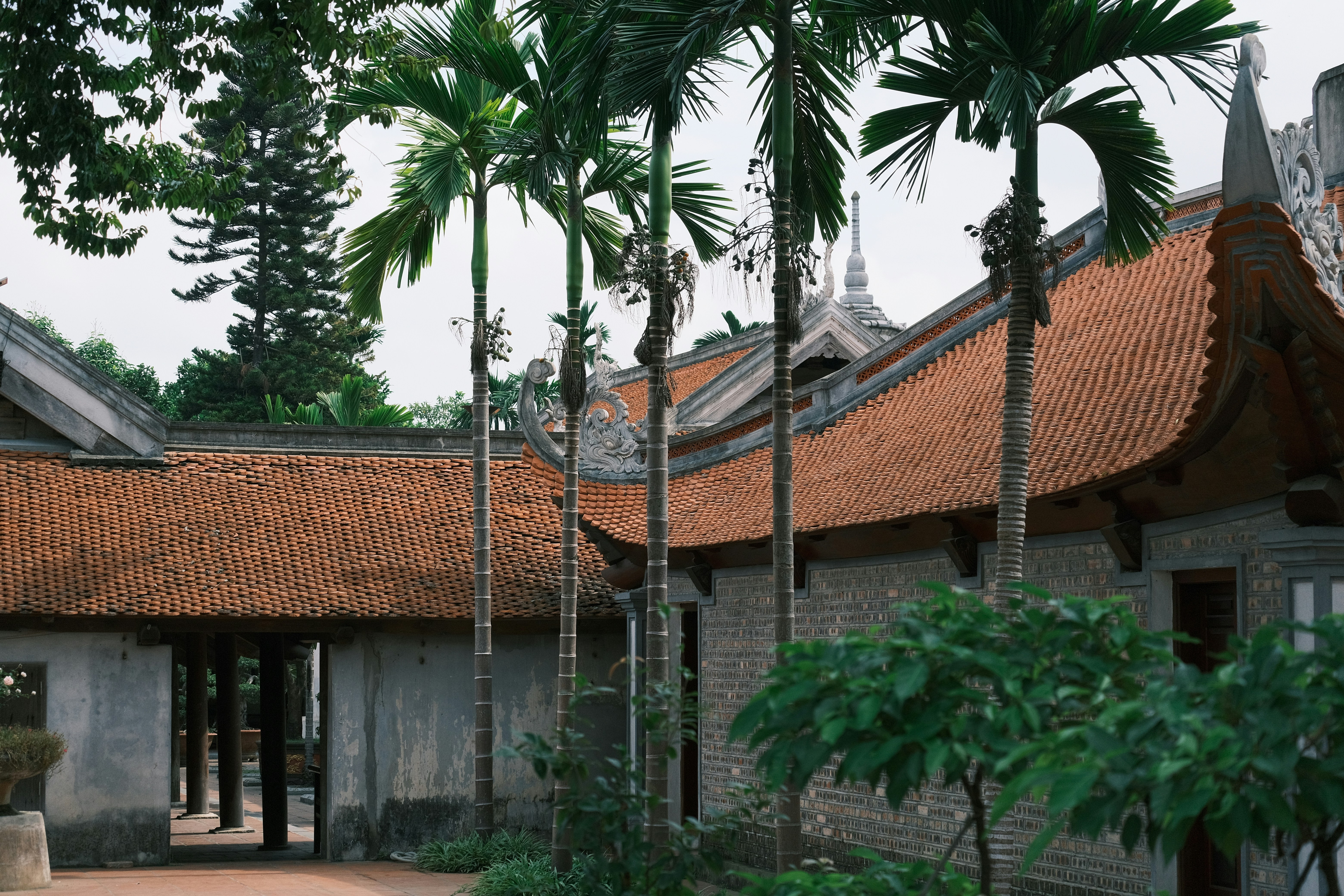 Building with red tiled roof surrounded by palm trees