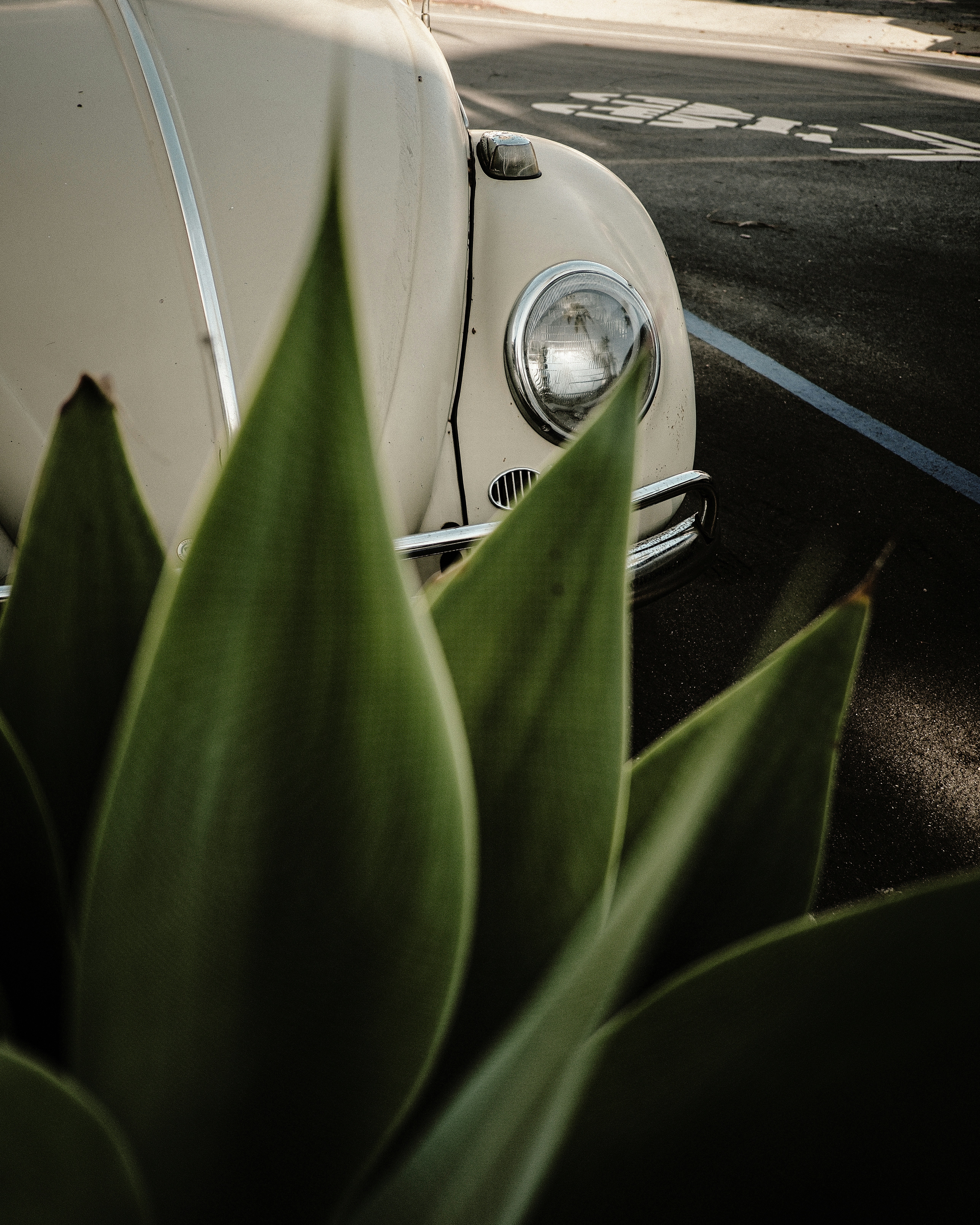 a white car parked on the side of the road