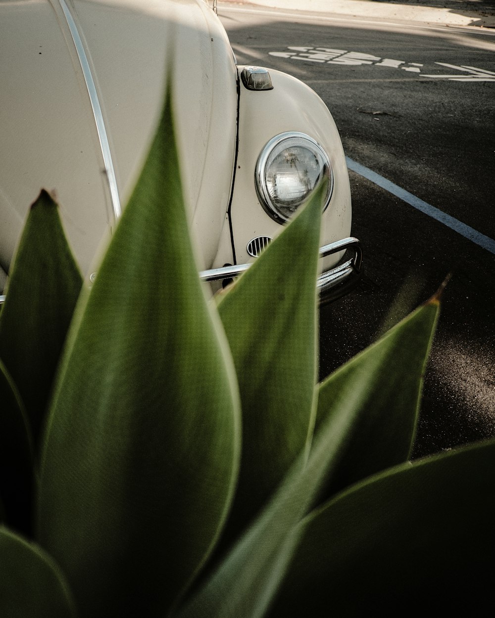 a white car parked on the side of the road