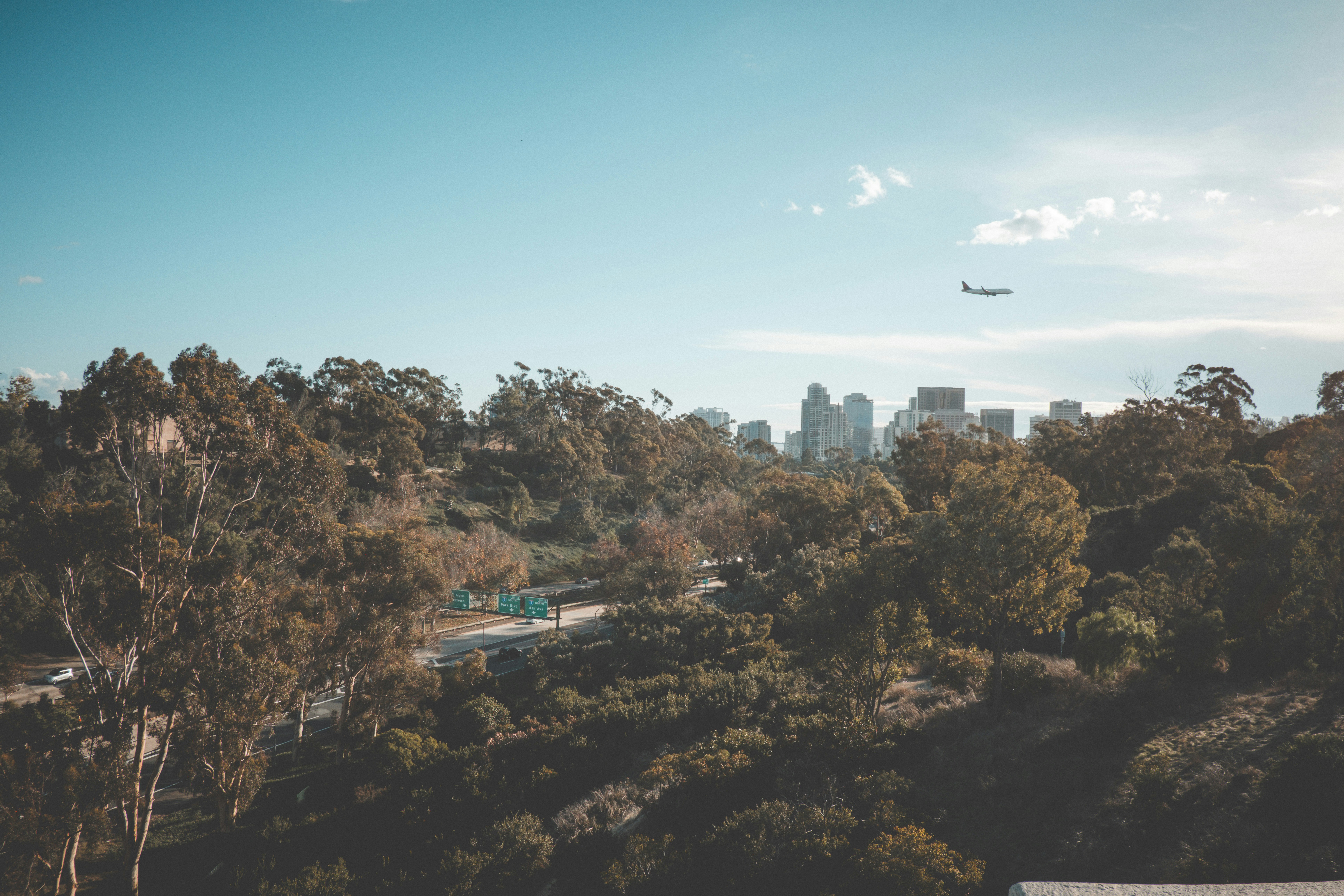 a plane flying over a forest filled with trees