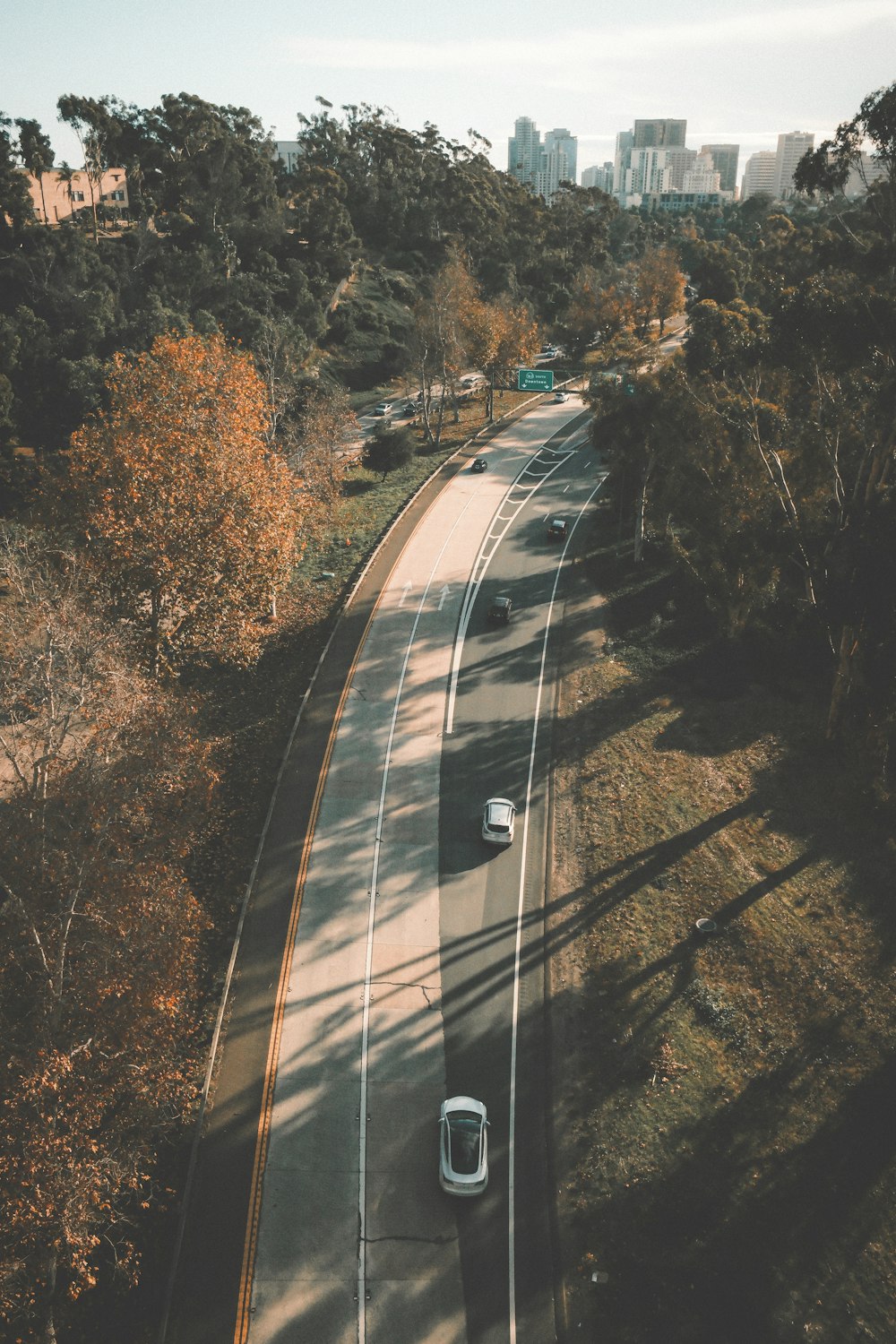 a car driving down a road next to a forest