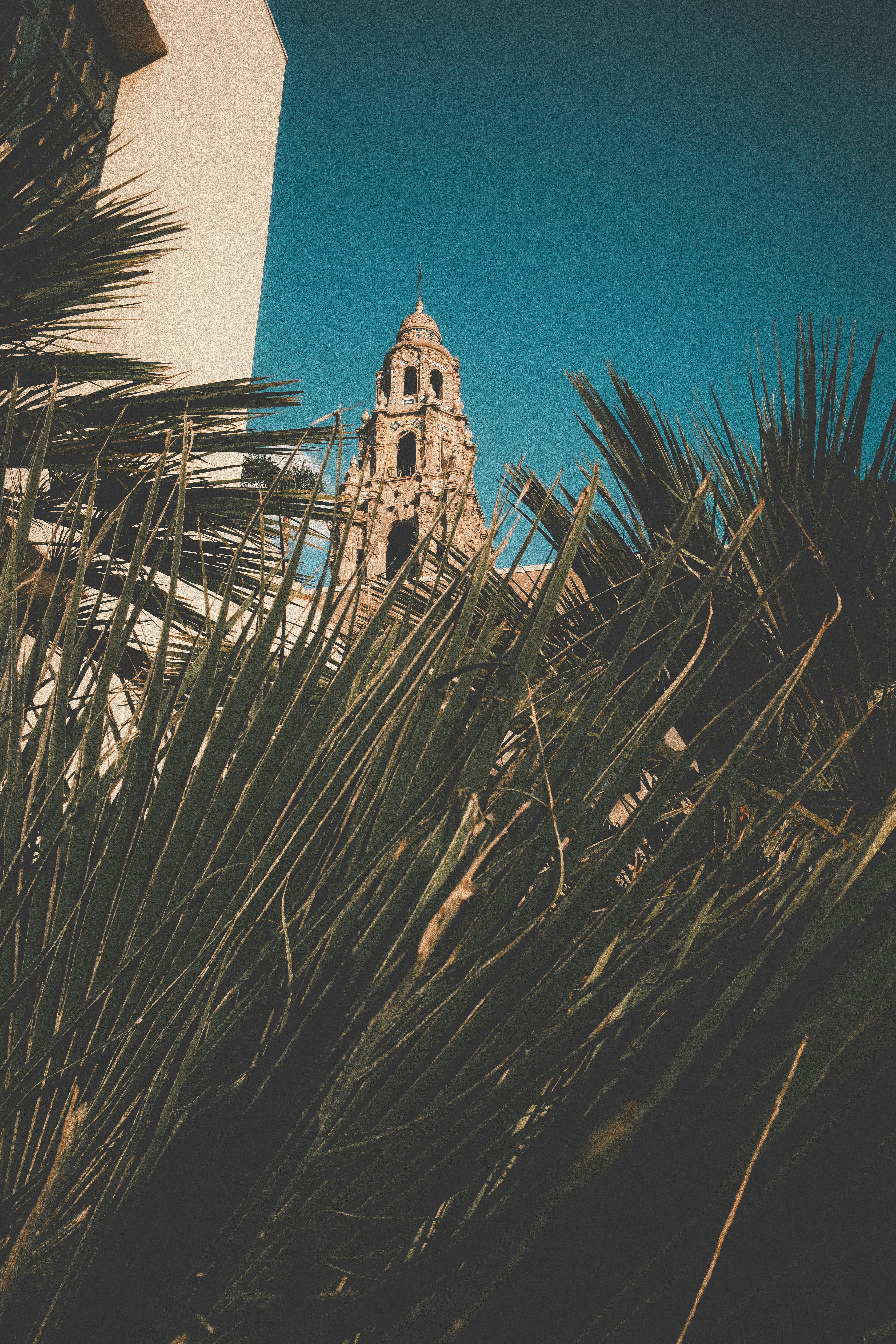 Photo by robertgourley