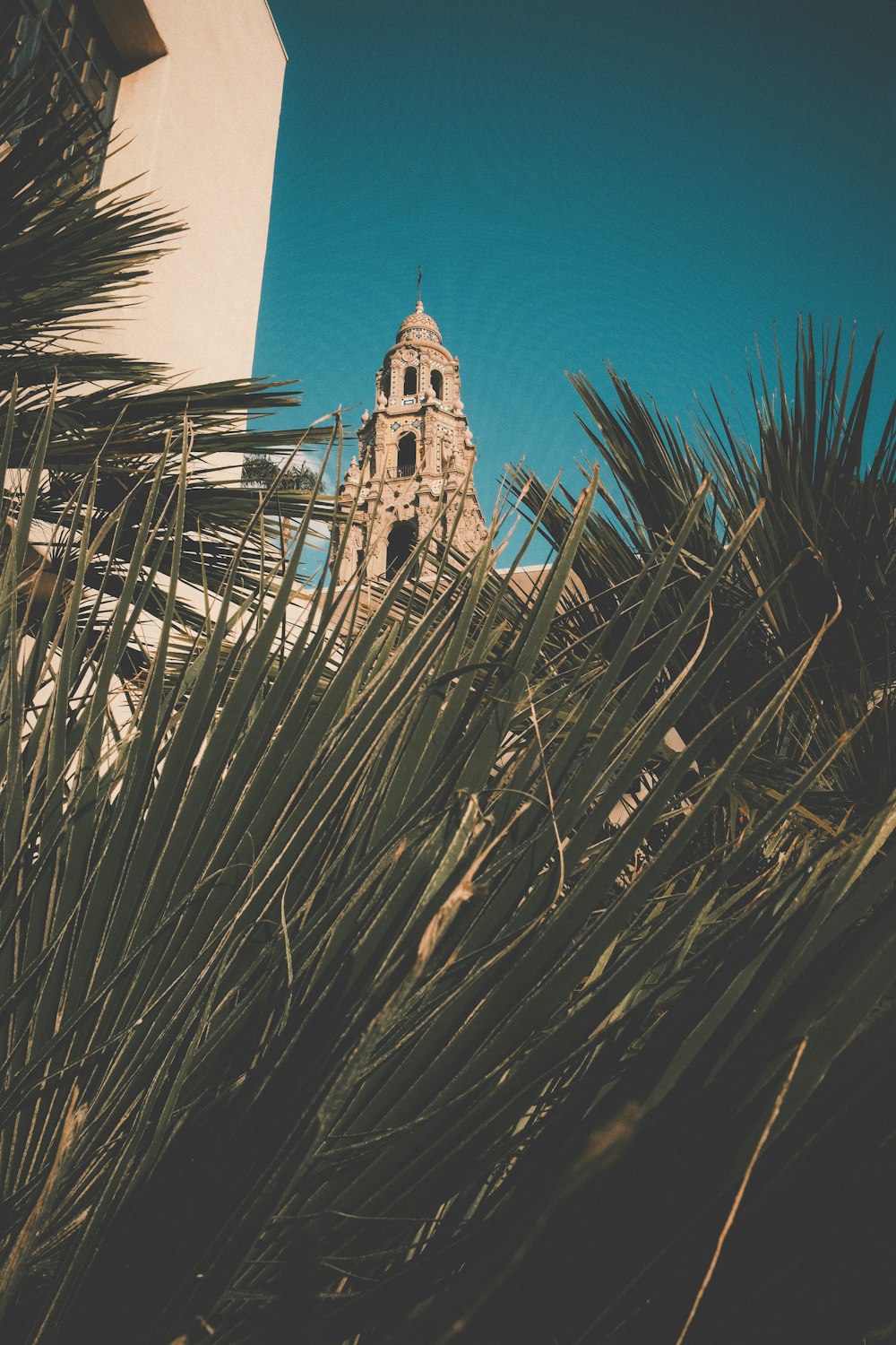 a tall building with a clock on the top of it