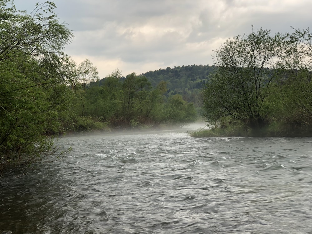 a body of water surrounded by trees on a cloudy day