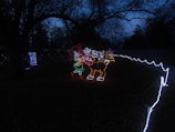 Brightly colored holiday lights form the shapes of reindeer and a person, set against a dark outdoor background. Bare tree branches arch overhead, and lights are strung across the area. The ground is covered in leaves, and a path lined with white lights guides through the scene.