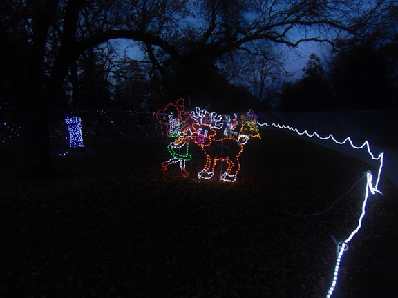 Brightly colored holiday lights form the shapes of reindeer and a person, set against a dark outdoor background. Bare tree branches arch overhead, and lights are strung across the area. The ground is covered in leaves, and a path lined with white lights guides through the scene.