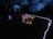 Brightly colored holiday lights form the shapes of reindeer and a person, set against a dark outdoor background. Bare tree branches arch overhead, and lights are strung across the area. The ground is covered in leaves, and a path lined with white lights guides through the scene.