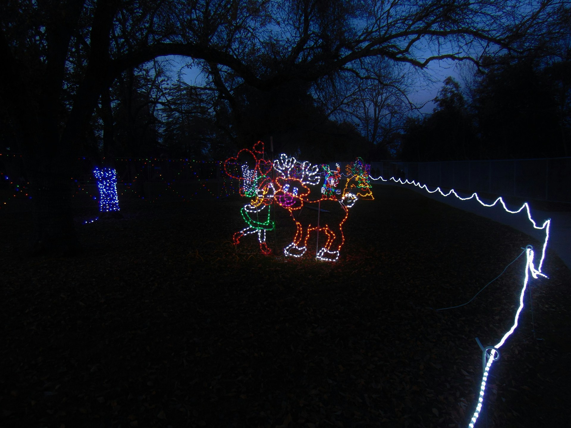 Brightly colored holiday lights form the shapes of reindeer and a person, set against a dark outdoor background. Bare tree branches arch overhead, and lights are strung across the area. The ground is covered in leaves, and a path lined with white lights guides through the scene.
