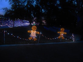 A nighttime scene featuring festive light decorations, including illuminated gingerbread figures and strings of colorful lights. The figures are large cookie-shaped ornaments with bright lights, and they are surrounded by white and red lights strung along the path. Nearby trees and bushes are dimly visible in the dark background with additional decorative light features further in the distance.