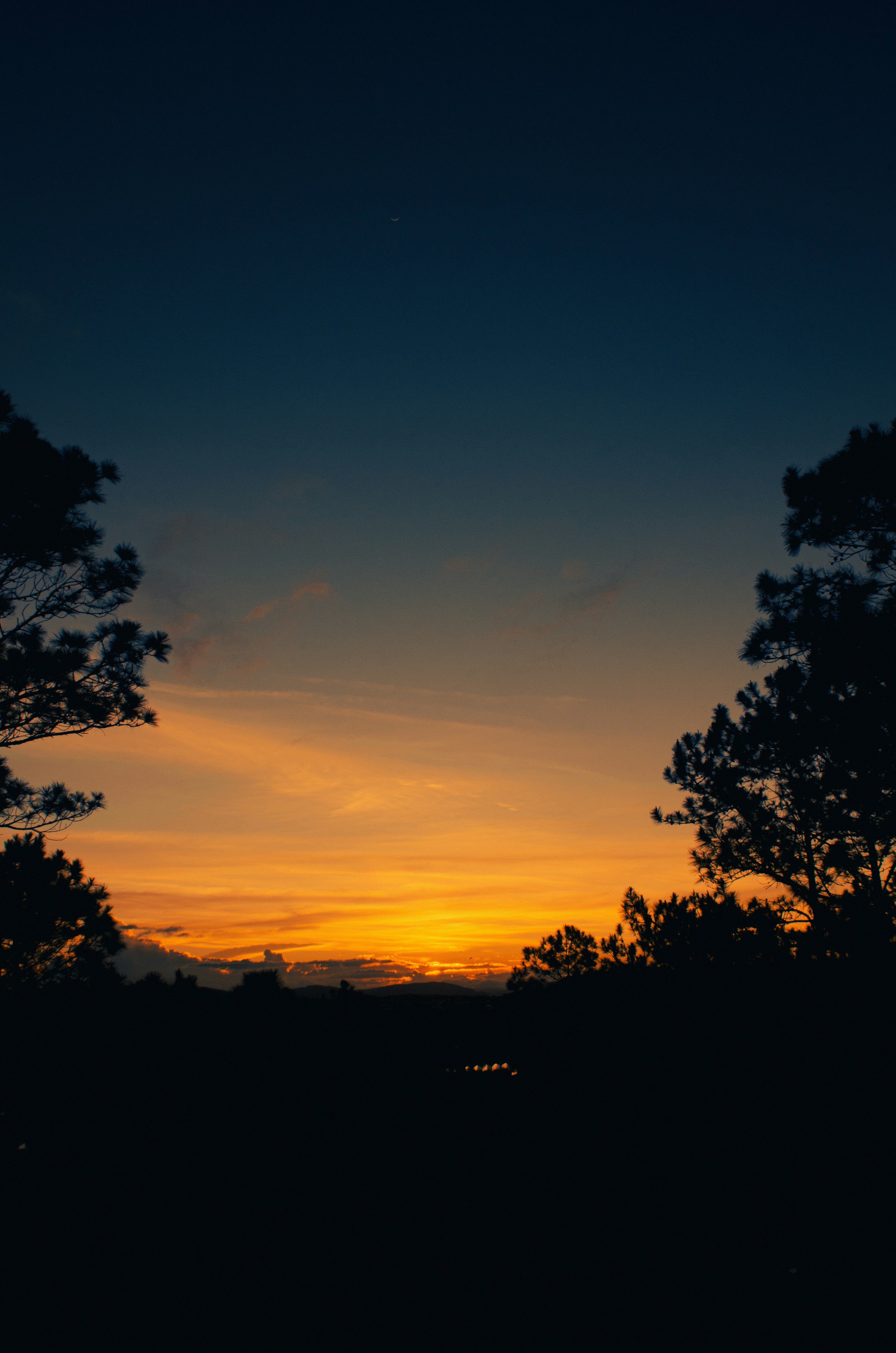 El sol se está poniendo detrás de unos árboles
