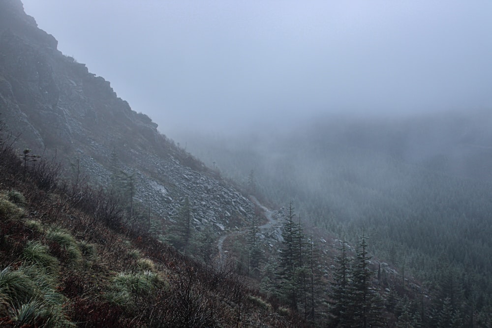 une montagne brumeuse avec des arbres et des buissons sur le côté