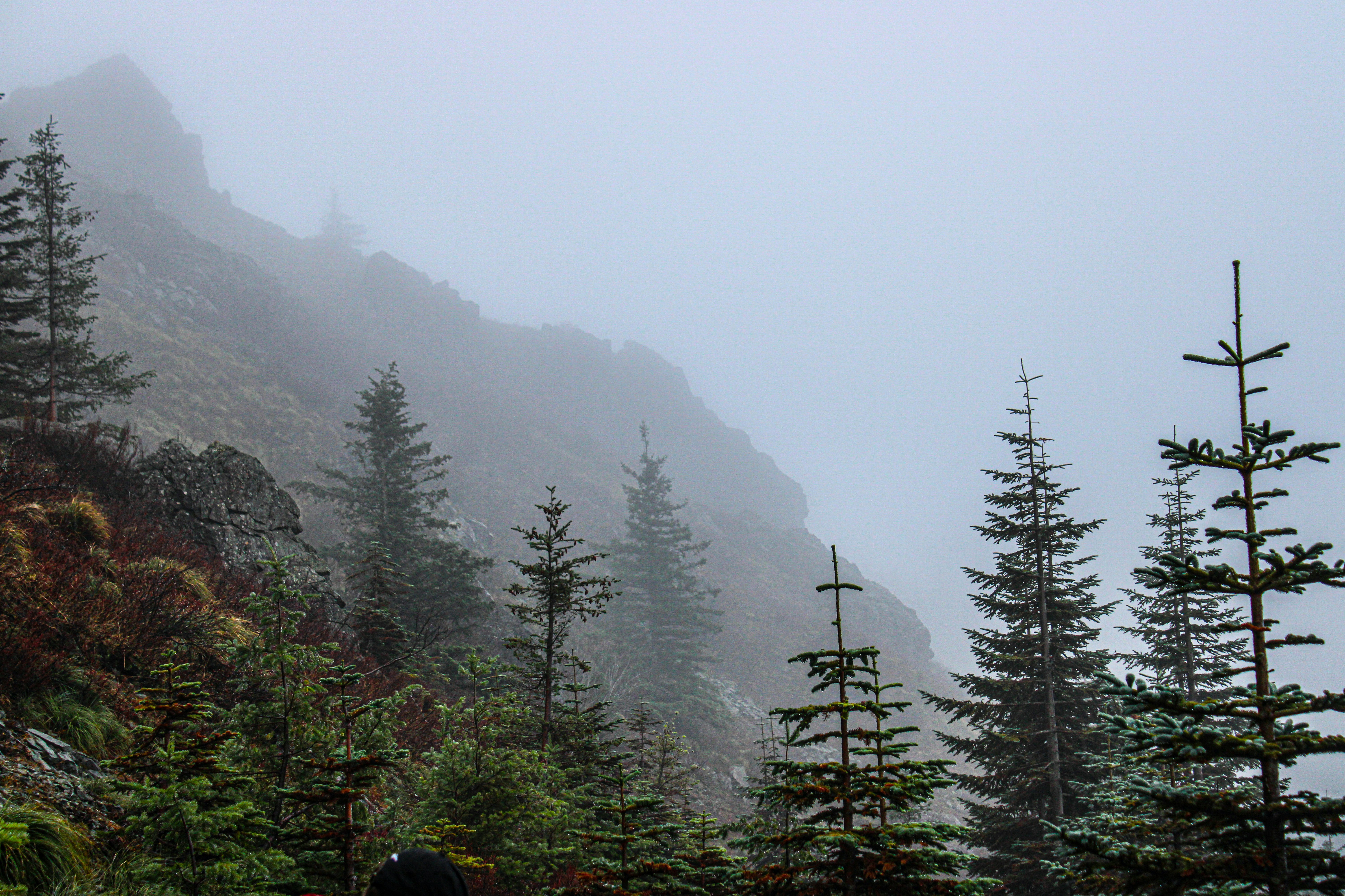 Photo by prphotography262