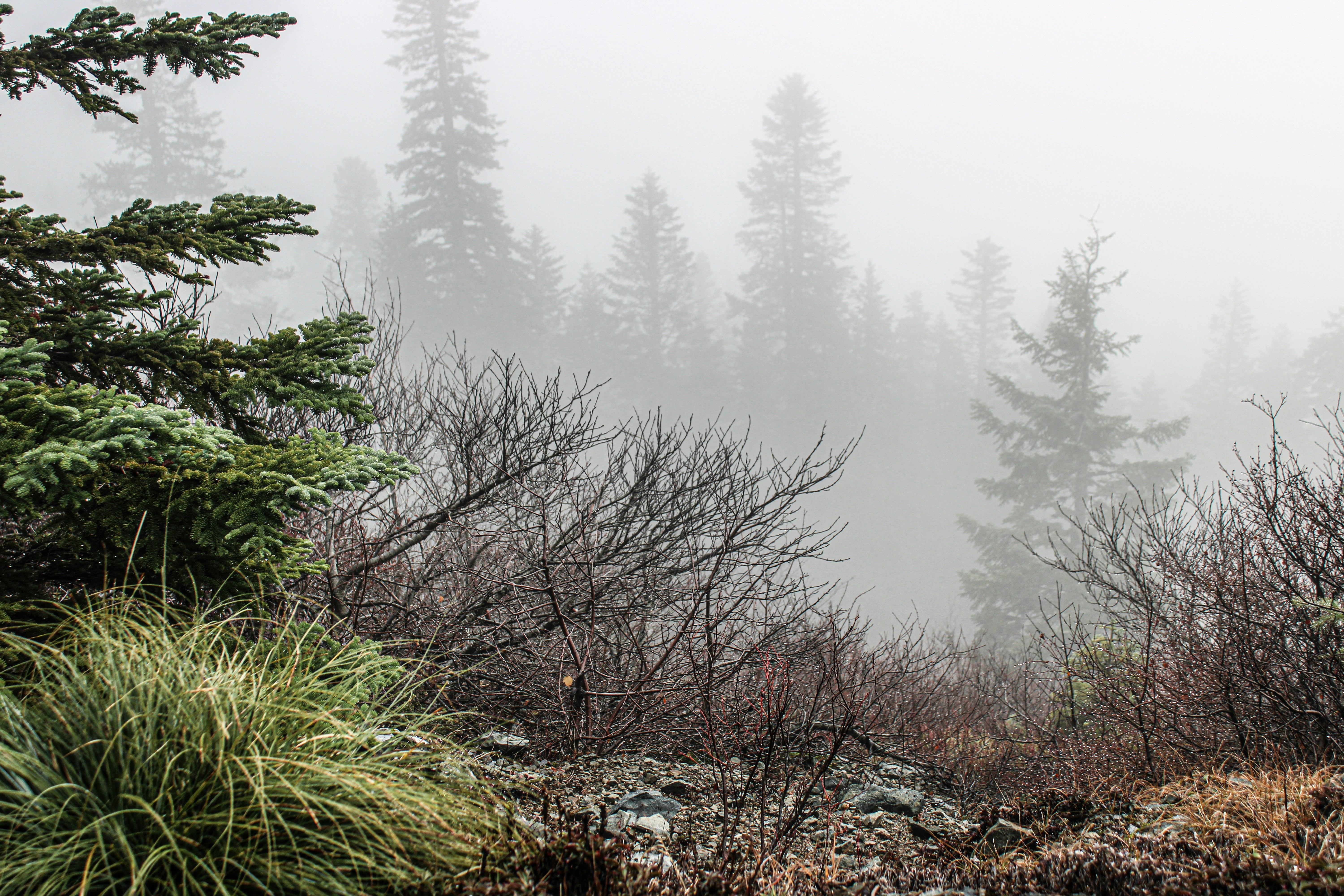 Photo by prphotography262