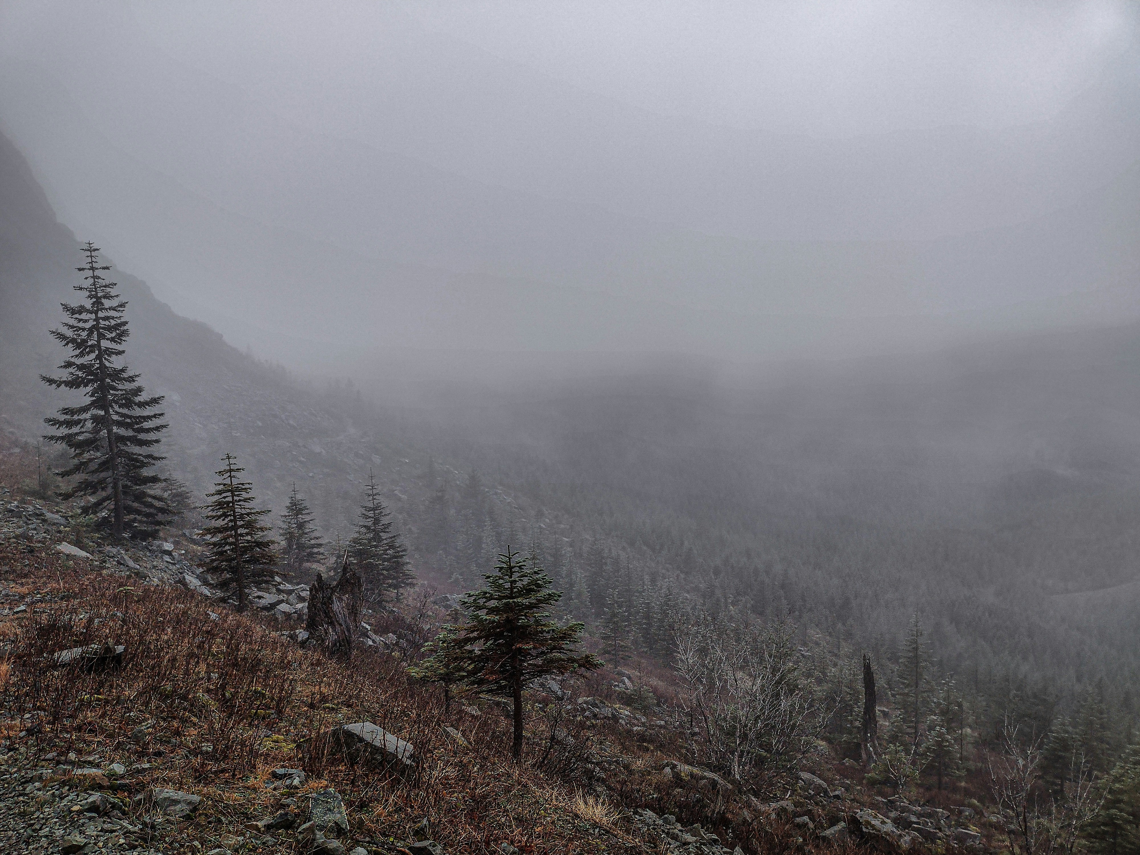 Photo by prphotography262