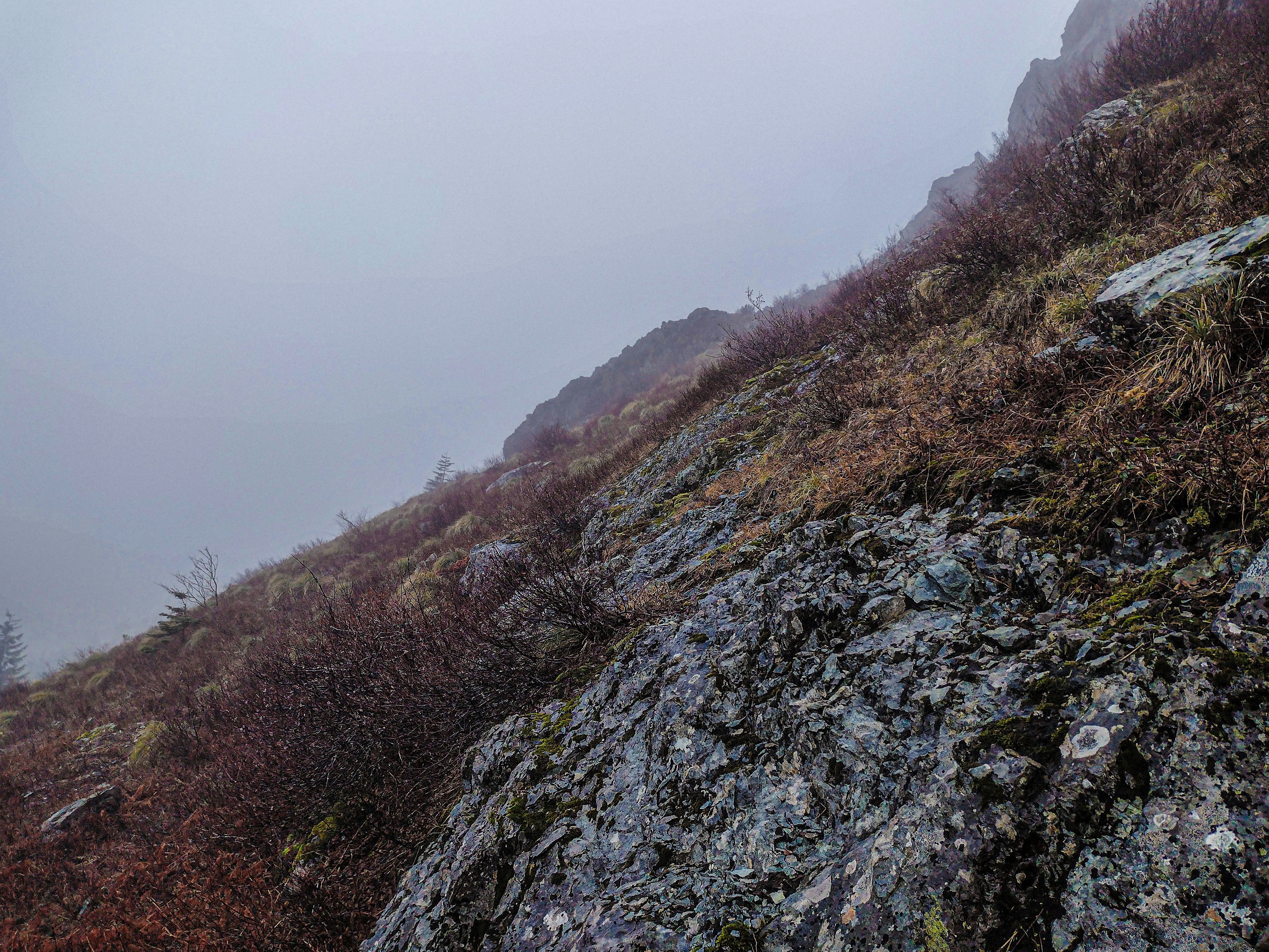 Photo by prphotography262