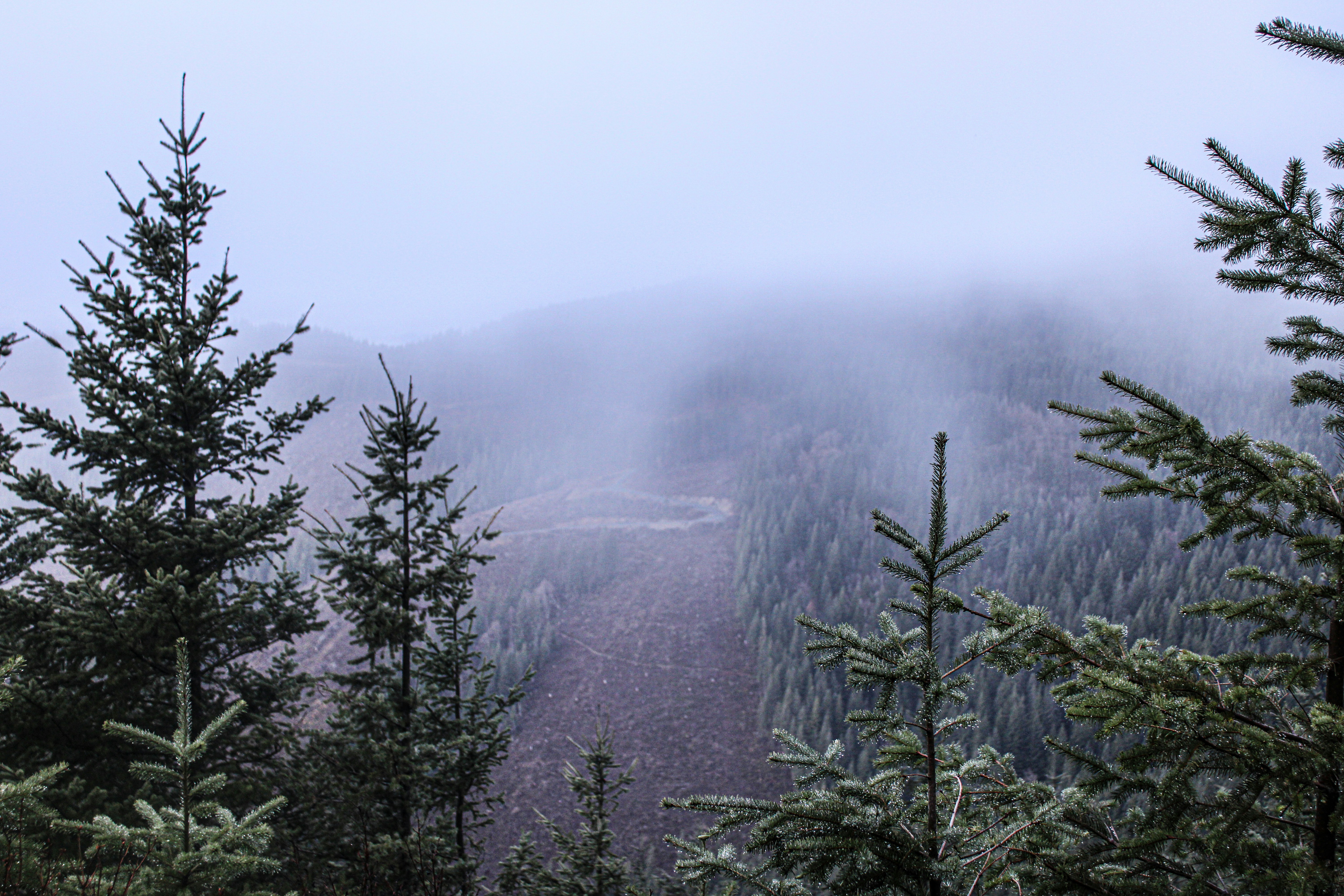 Photo by prphotography262