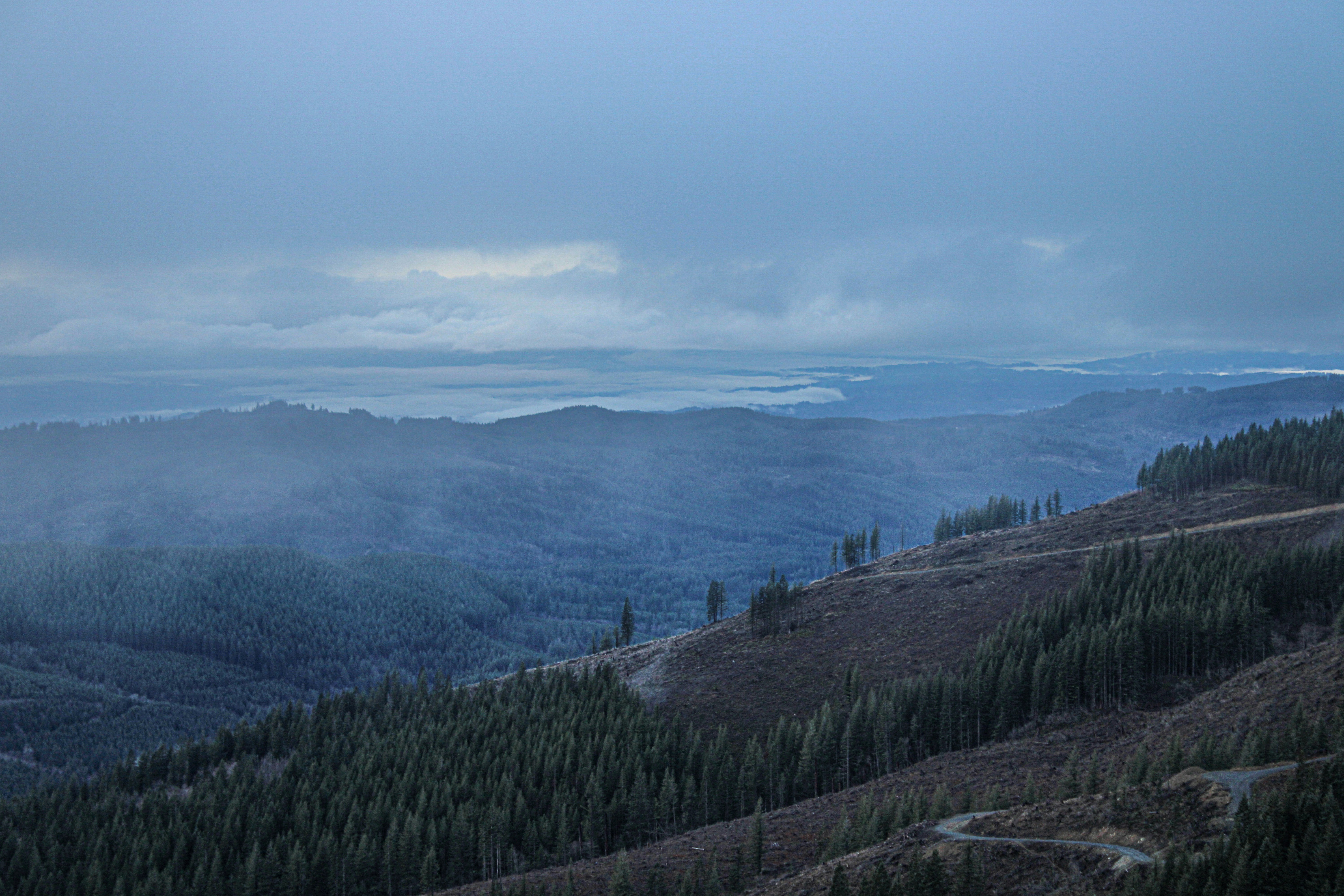 Photo by prphotography262