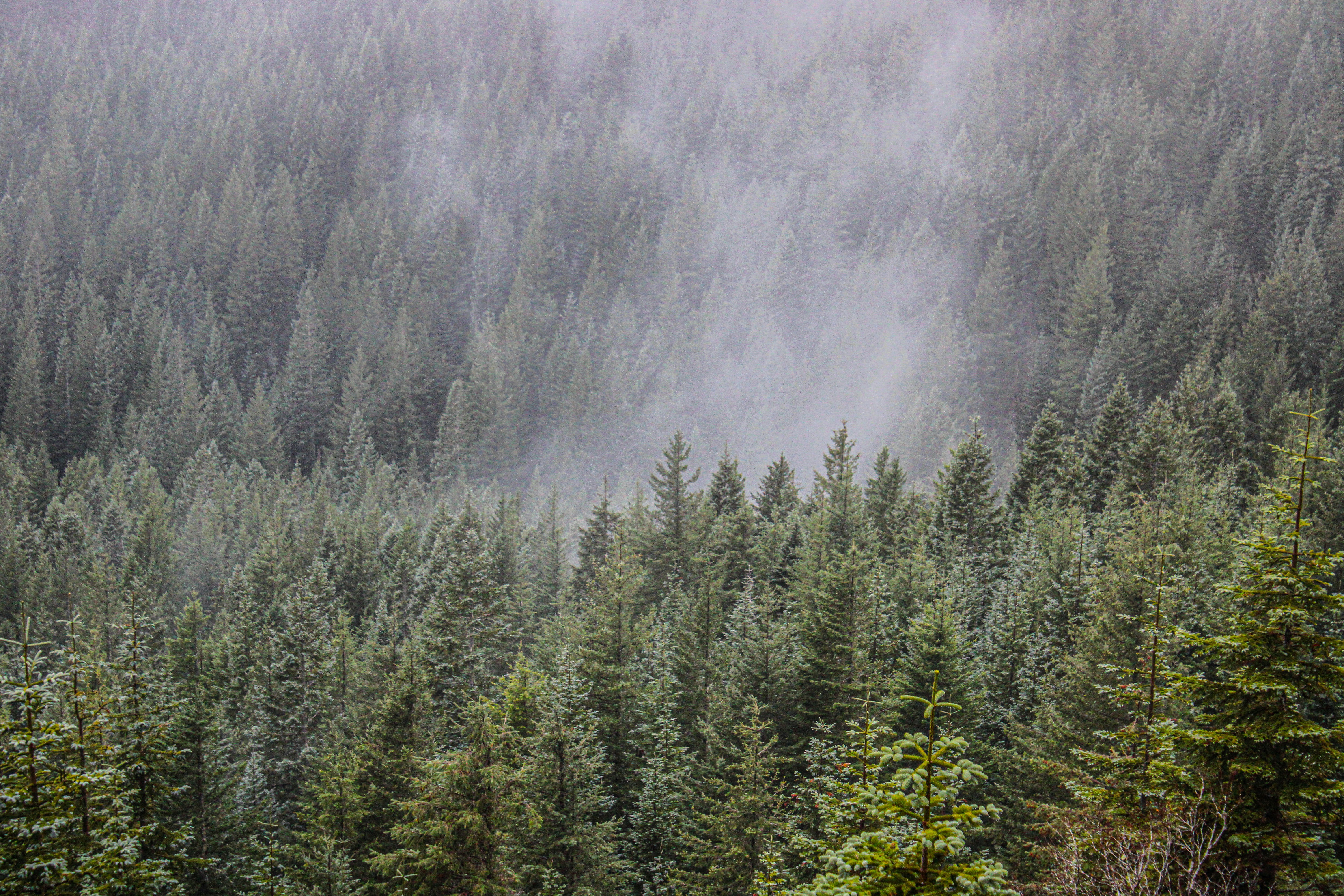 Photo by prphotography262