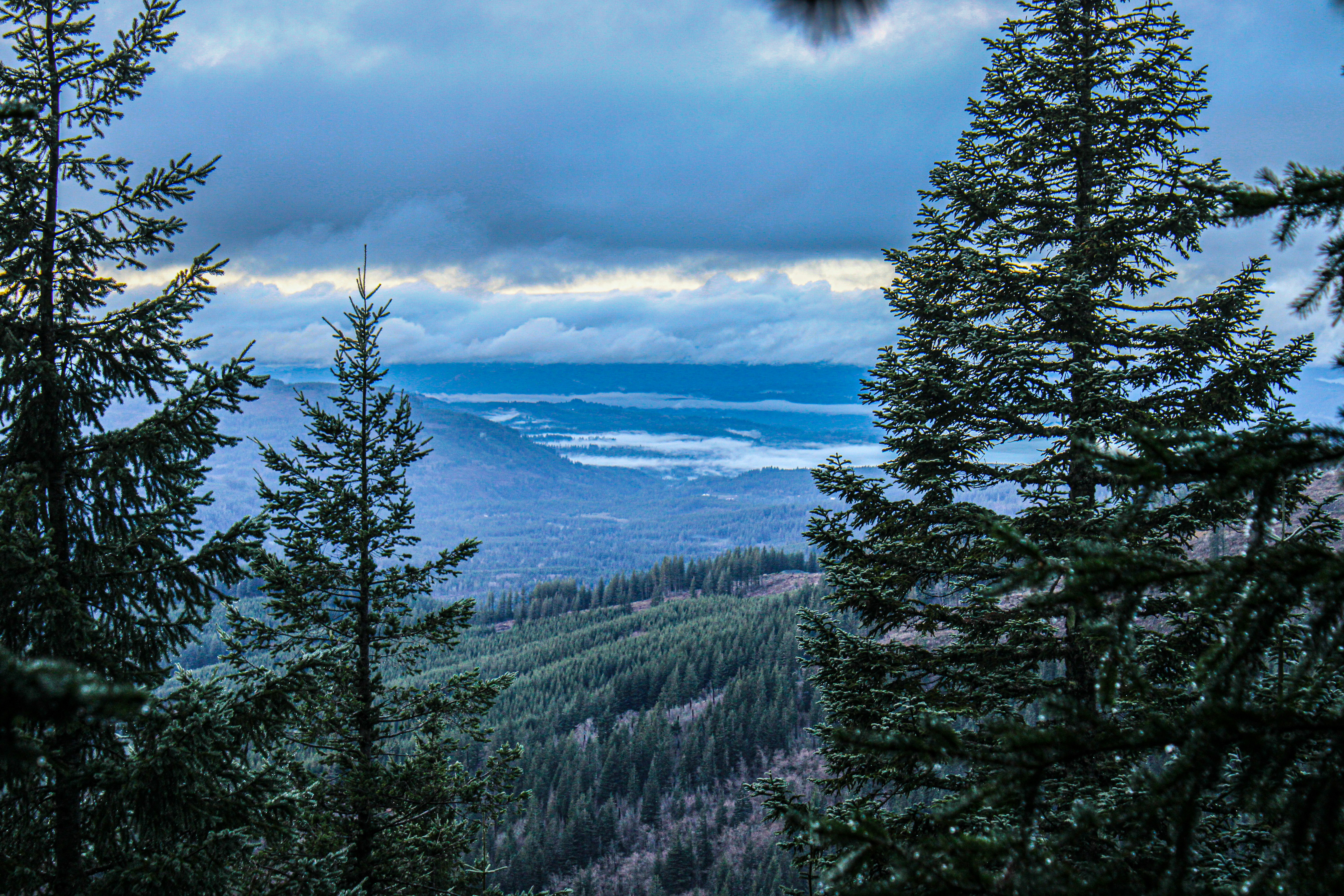 Photo by prphotography262