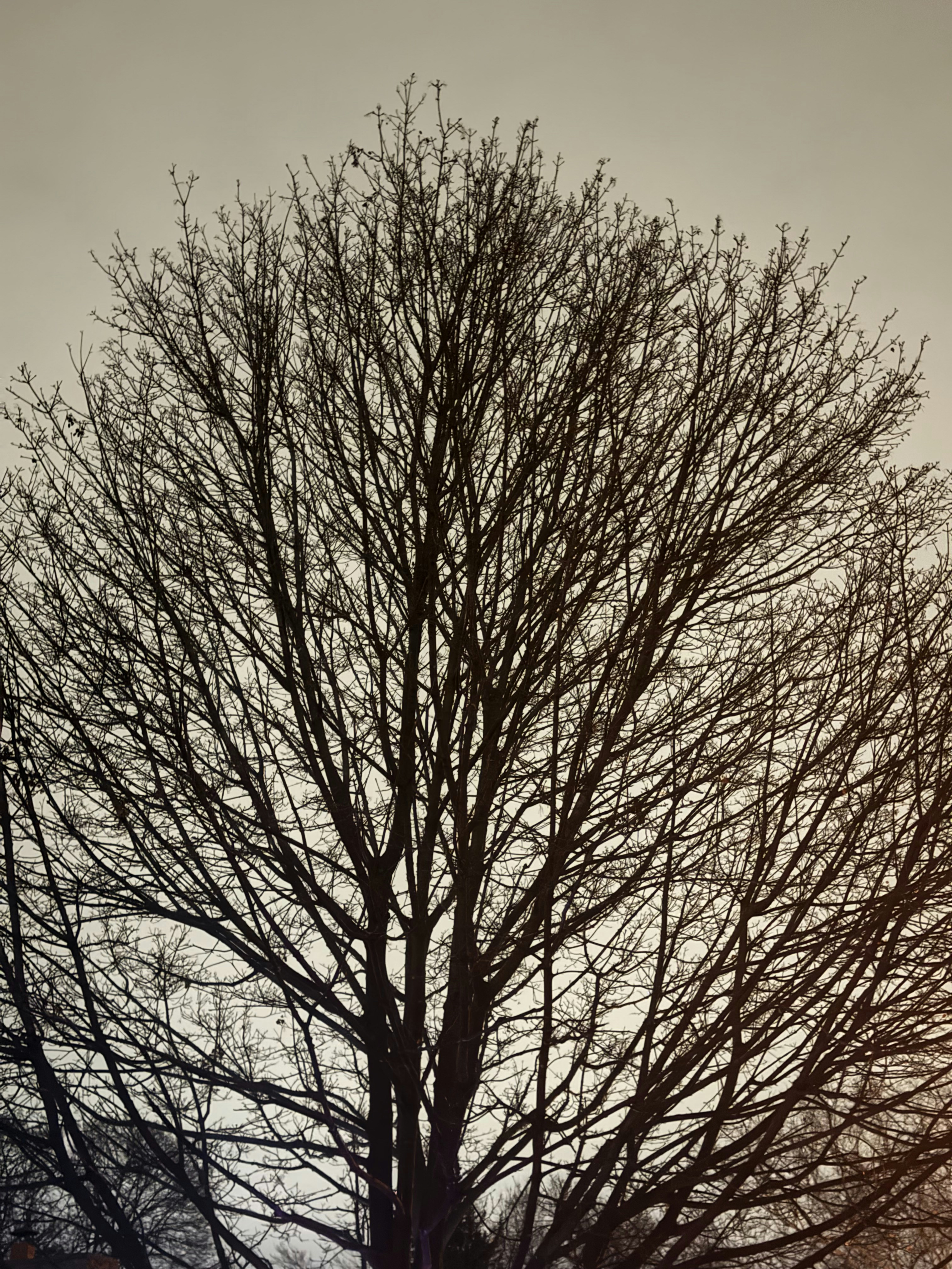 Photo by _backwoods_