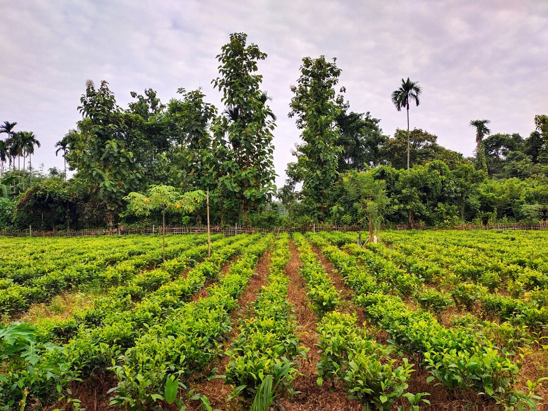 Modern sustainable industry and green corporate responsibility — representing the path to Net Zero