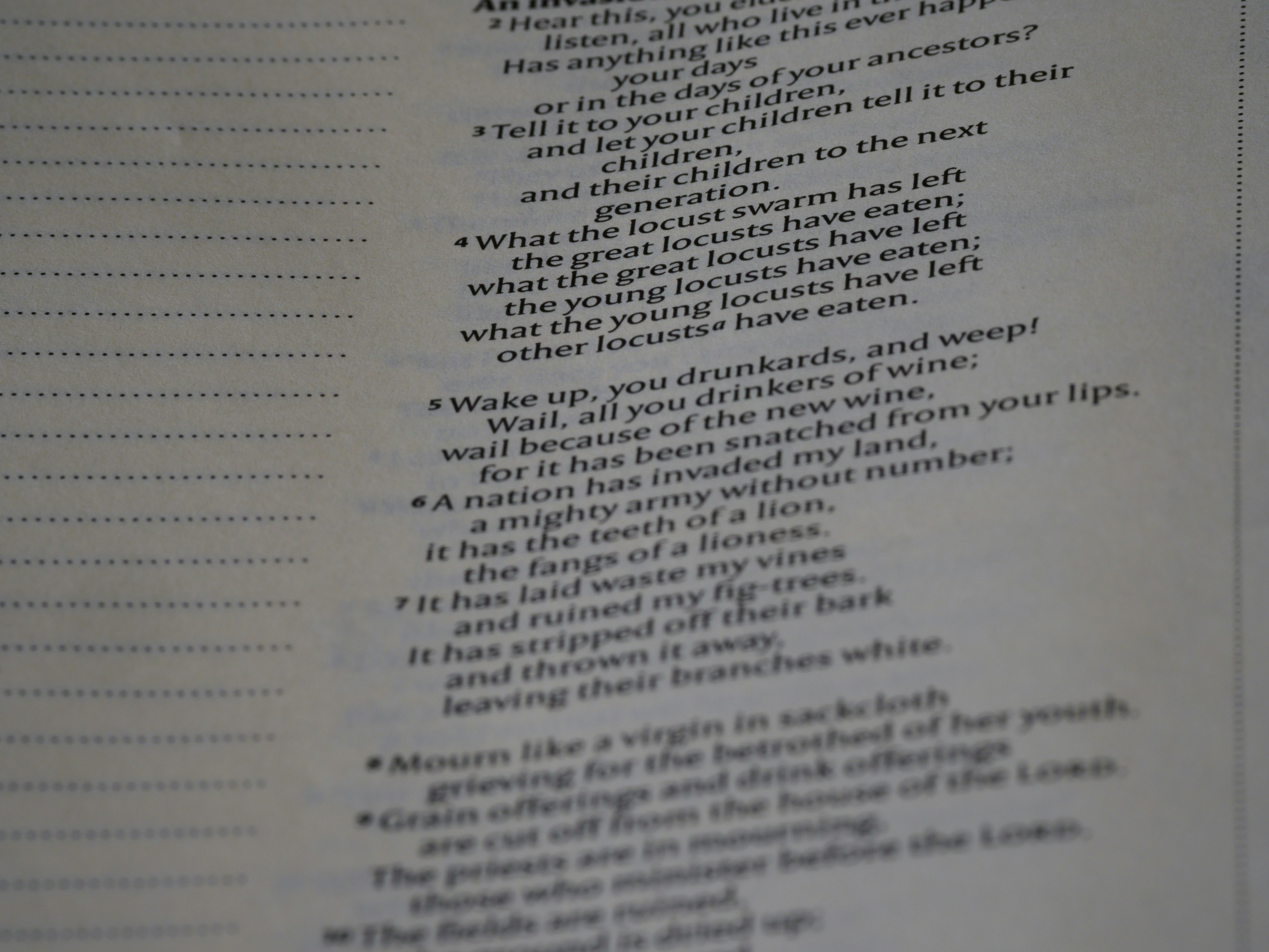 Photo by brett_jordan