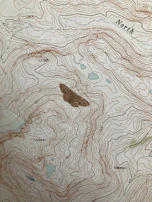 Topographic site modeling with contour lines and elevation data captured through laser scanning.