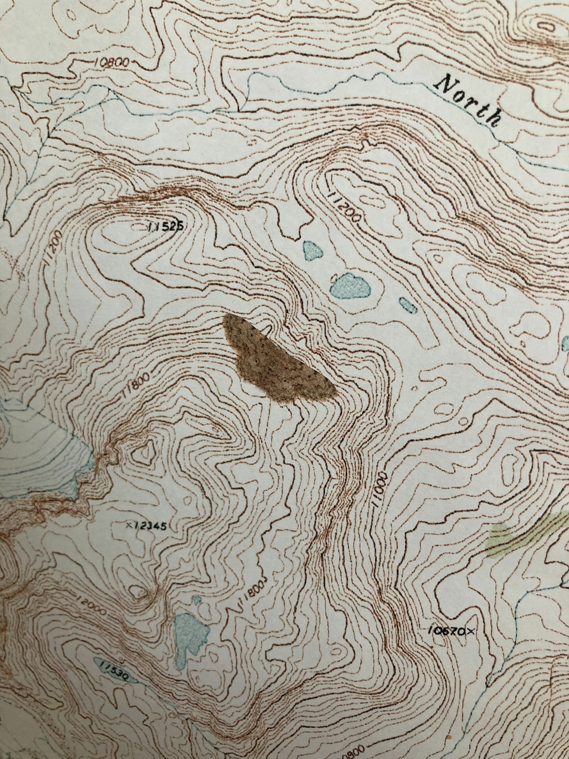 woman wearing yellow long-sleeved dress under white clouds and blue sky during daytime