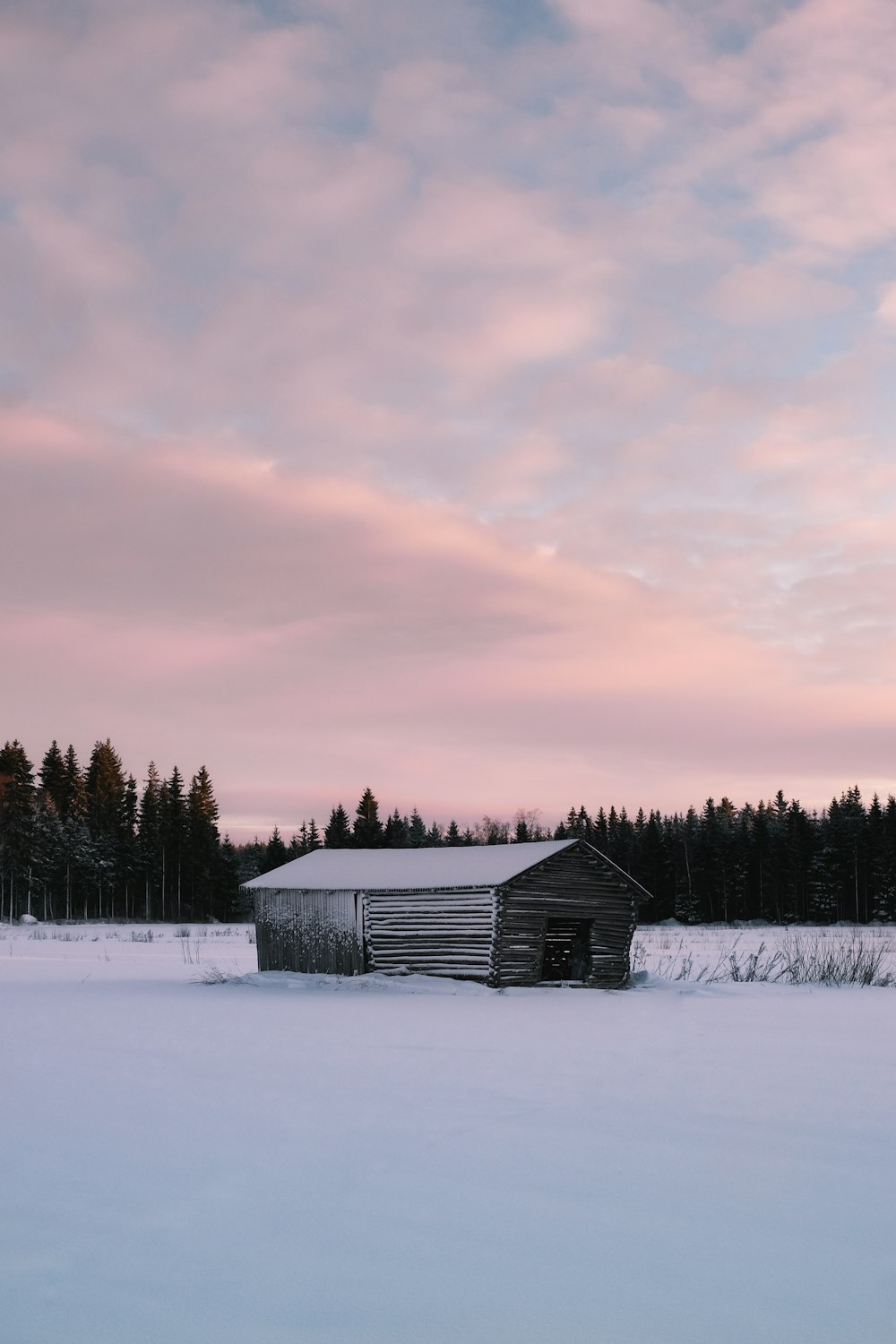 a barn in the middle of a snowy field