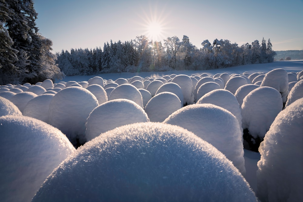 a large group of snow covered balls in a field