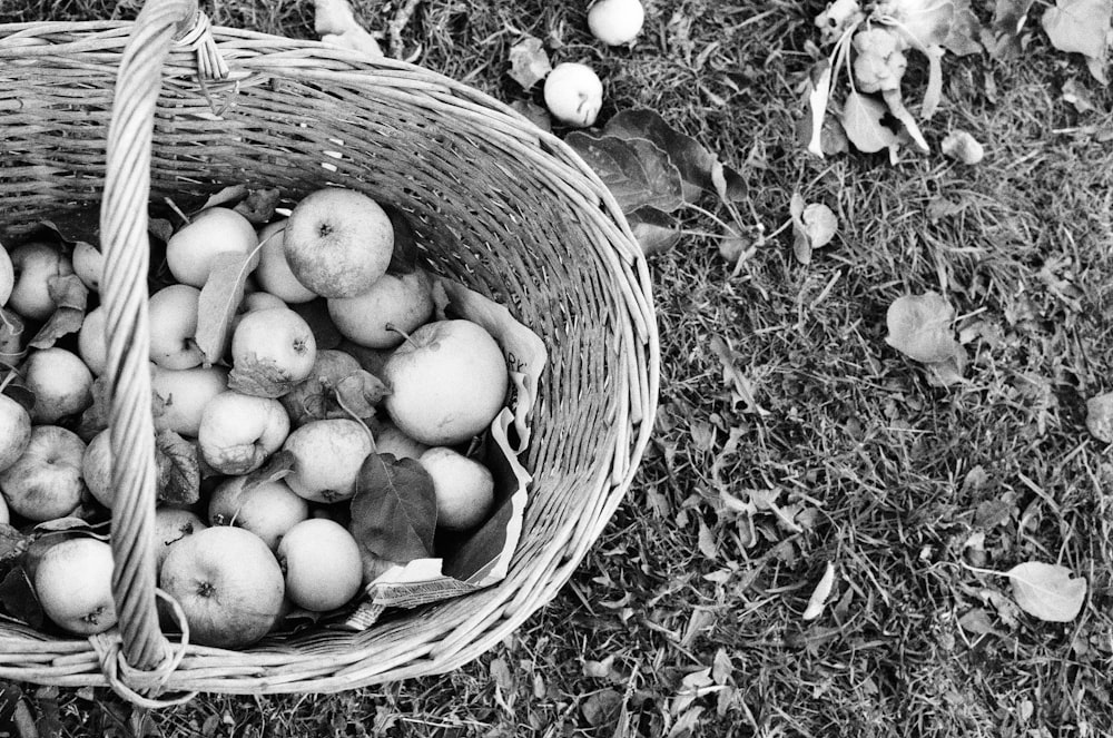 a basket full of apples sitting on the ground