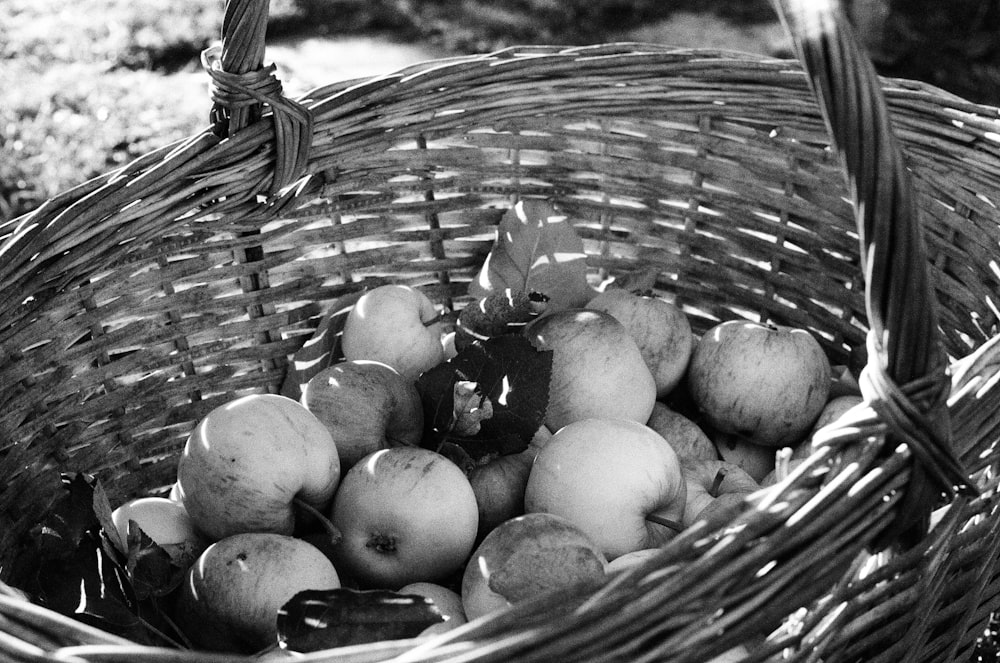 a basket full of apples sitting on the ground