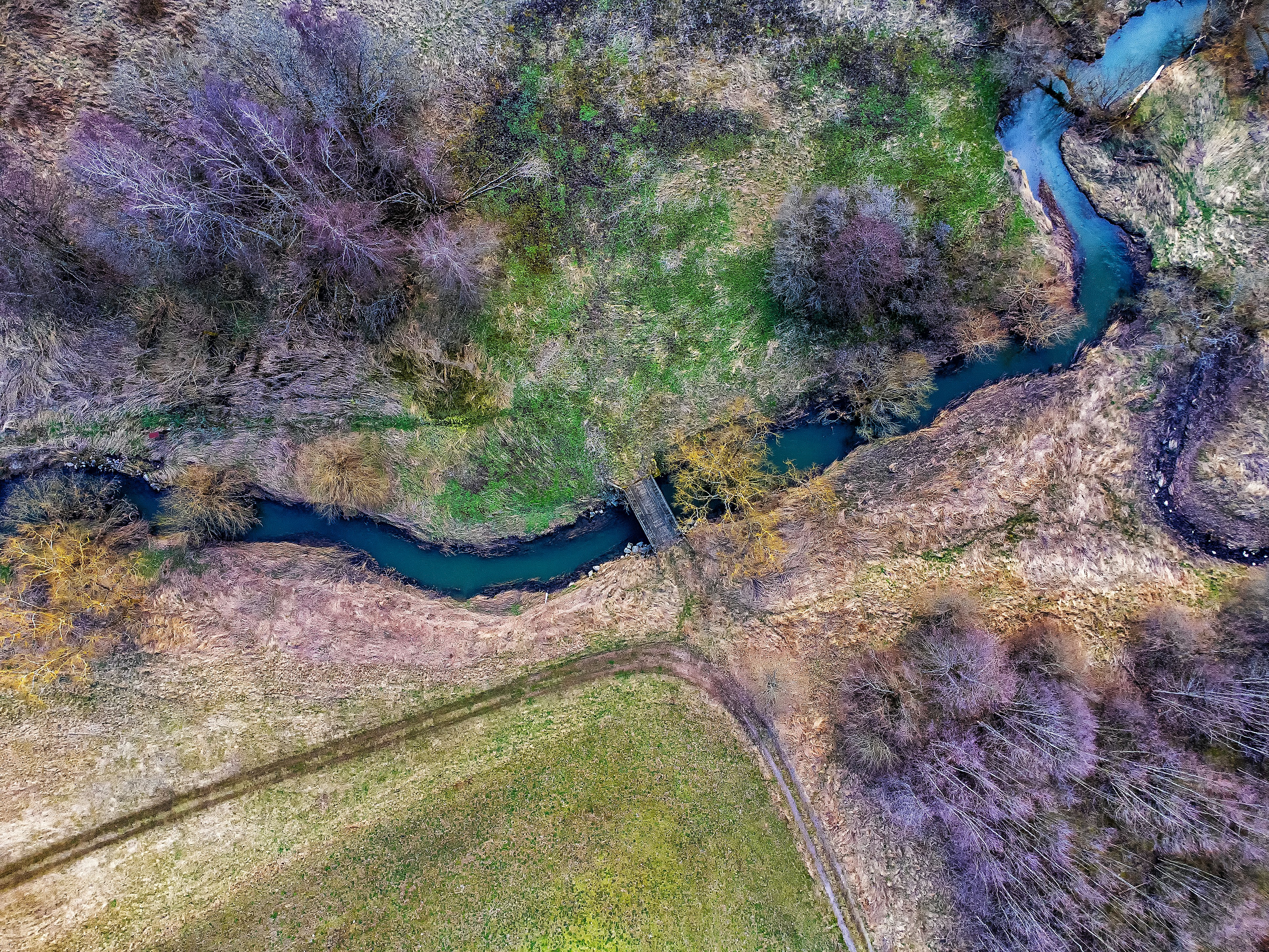 Ein Fluss, der durch einen üppigen grünen Wald fließt