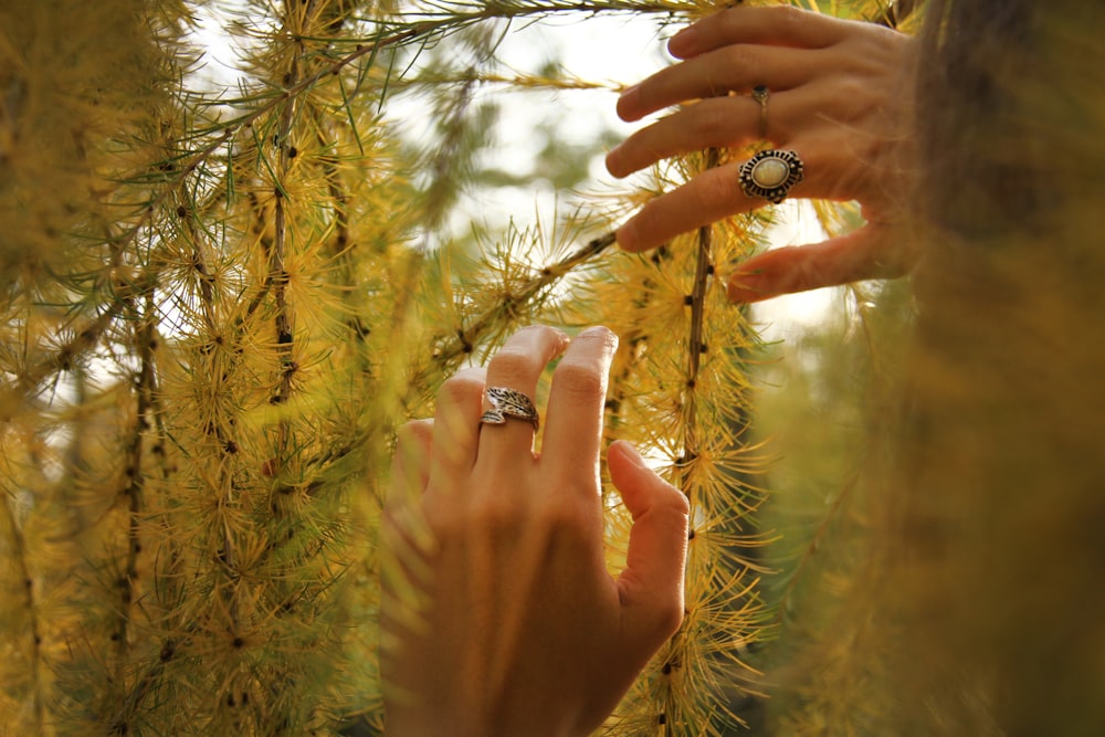 a person holding a ring in their hand near a tree