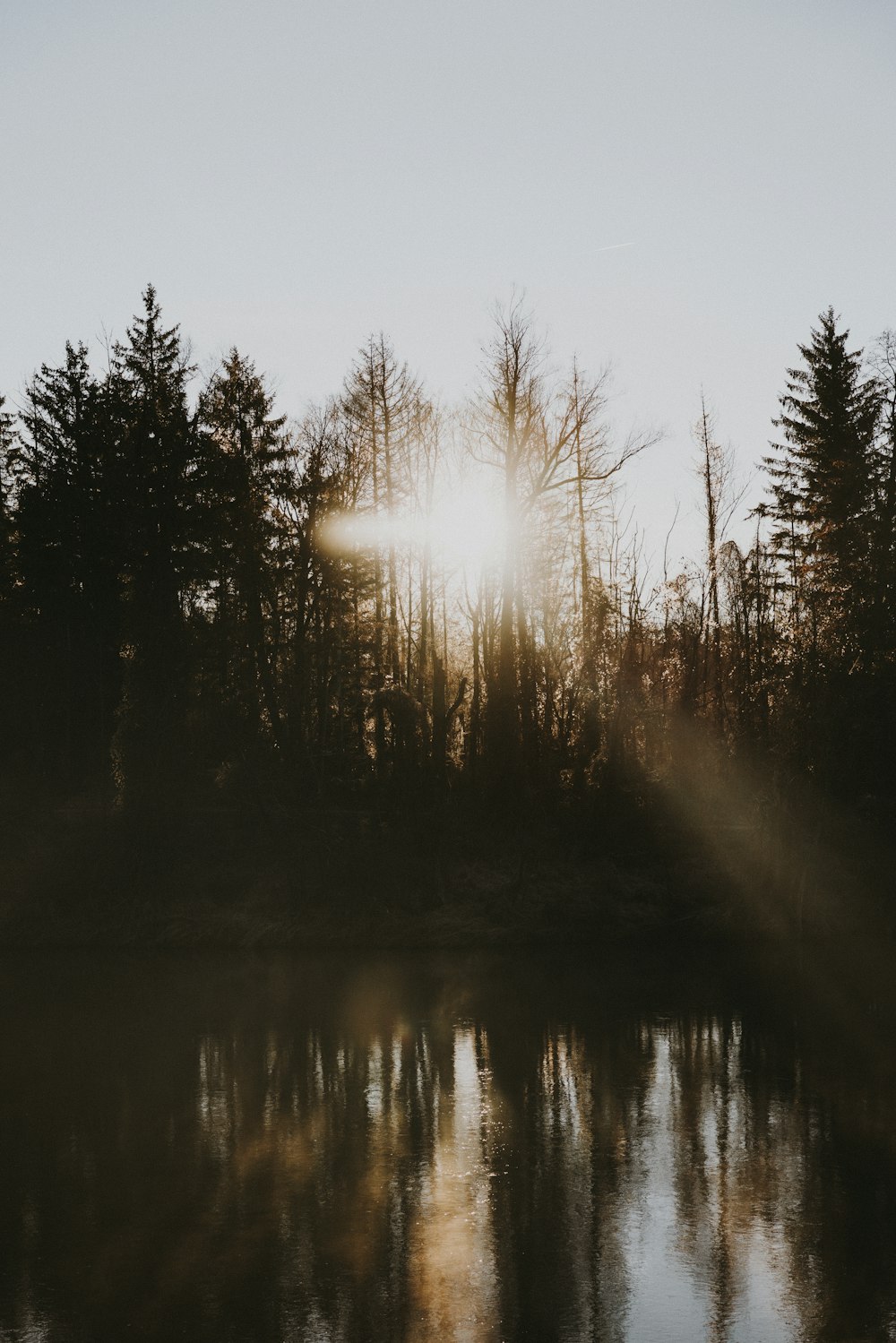 the sun is shining through the trees over the water