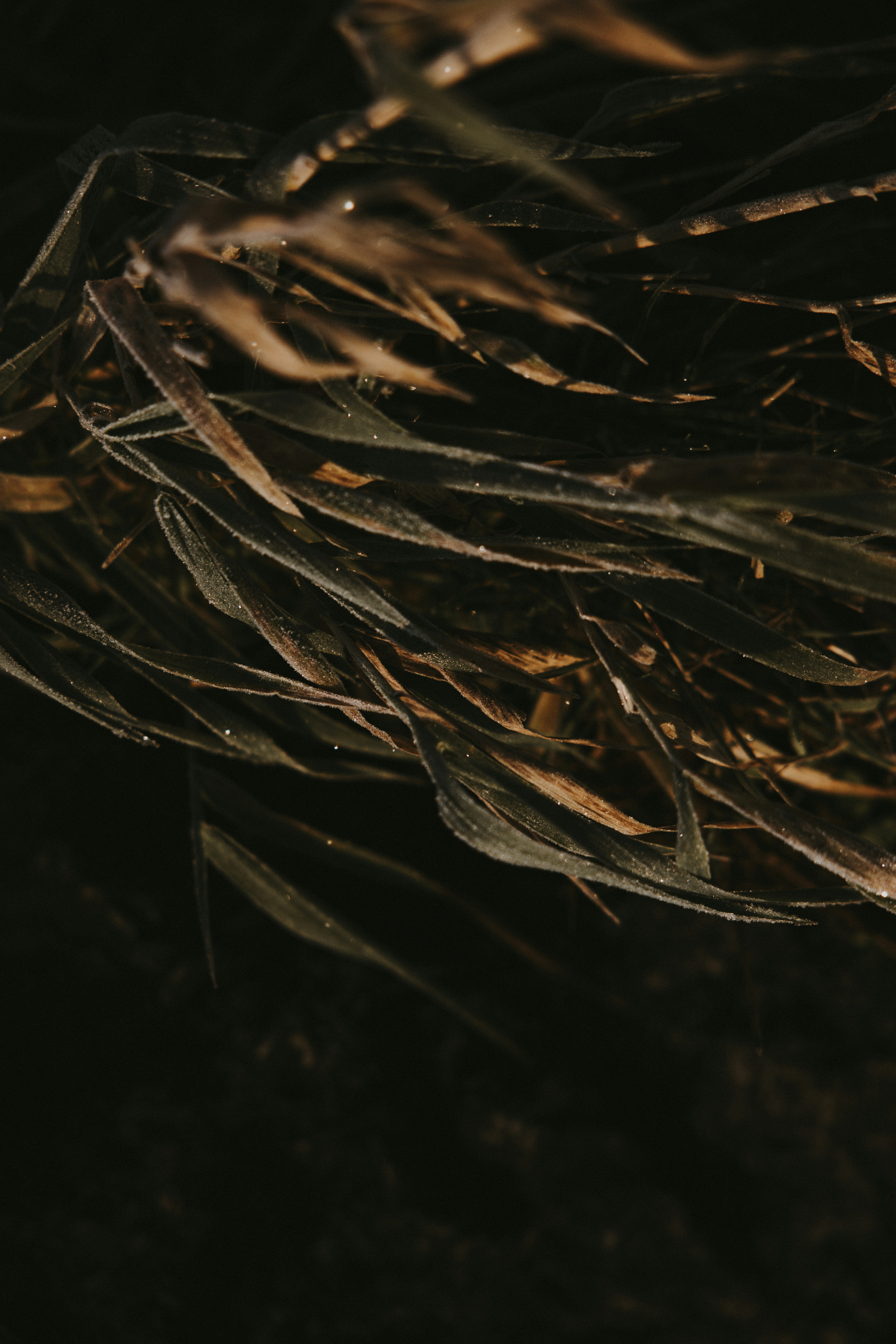 Photo by nadiacortellesi