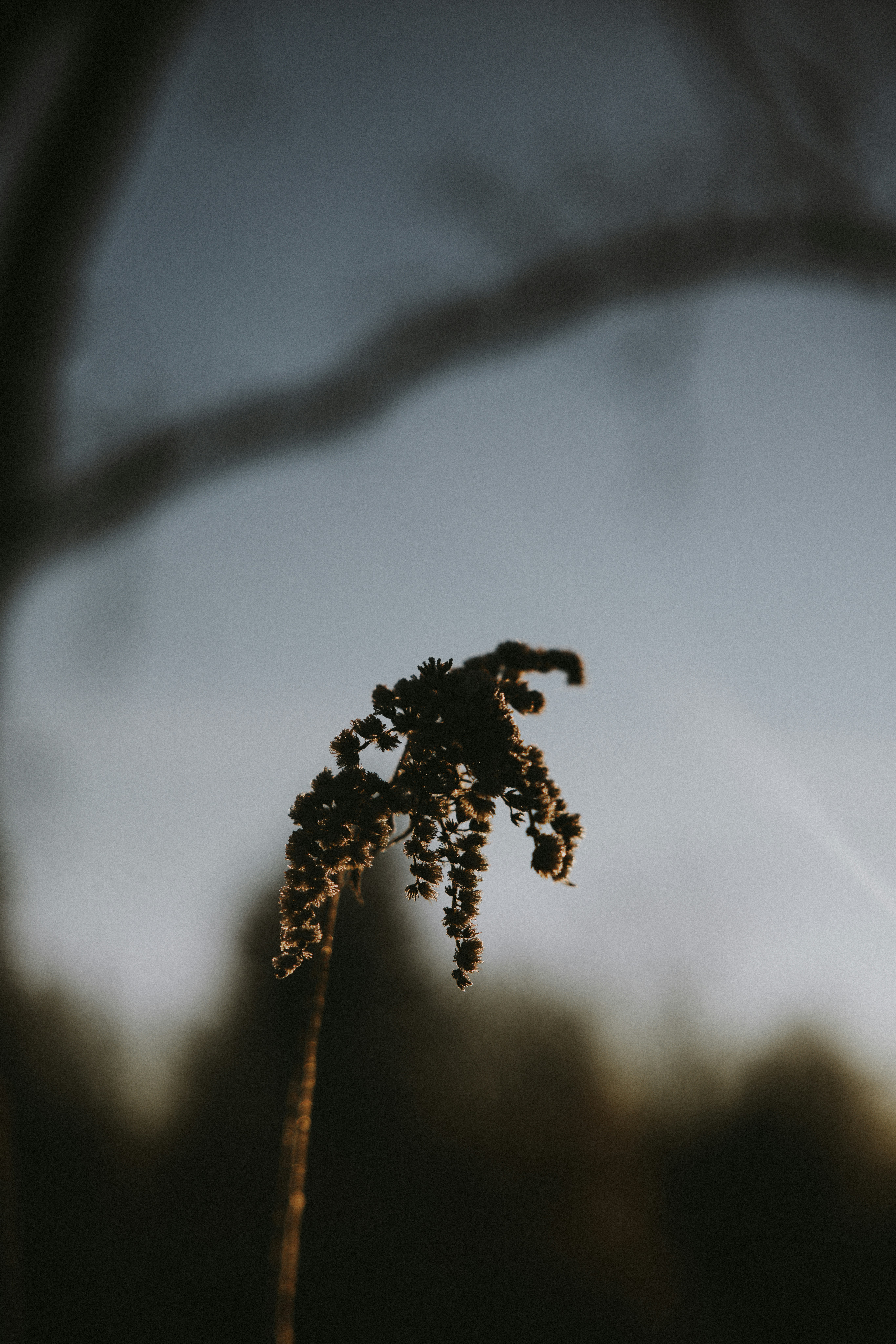 Photo by nadiacortellesi