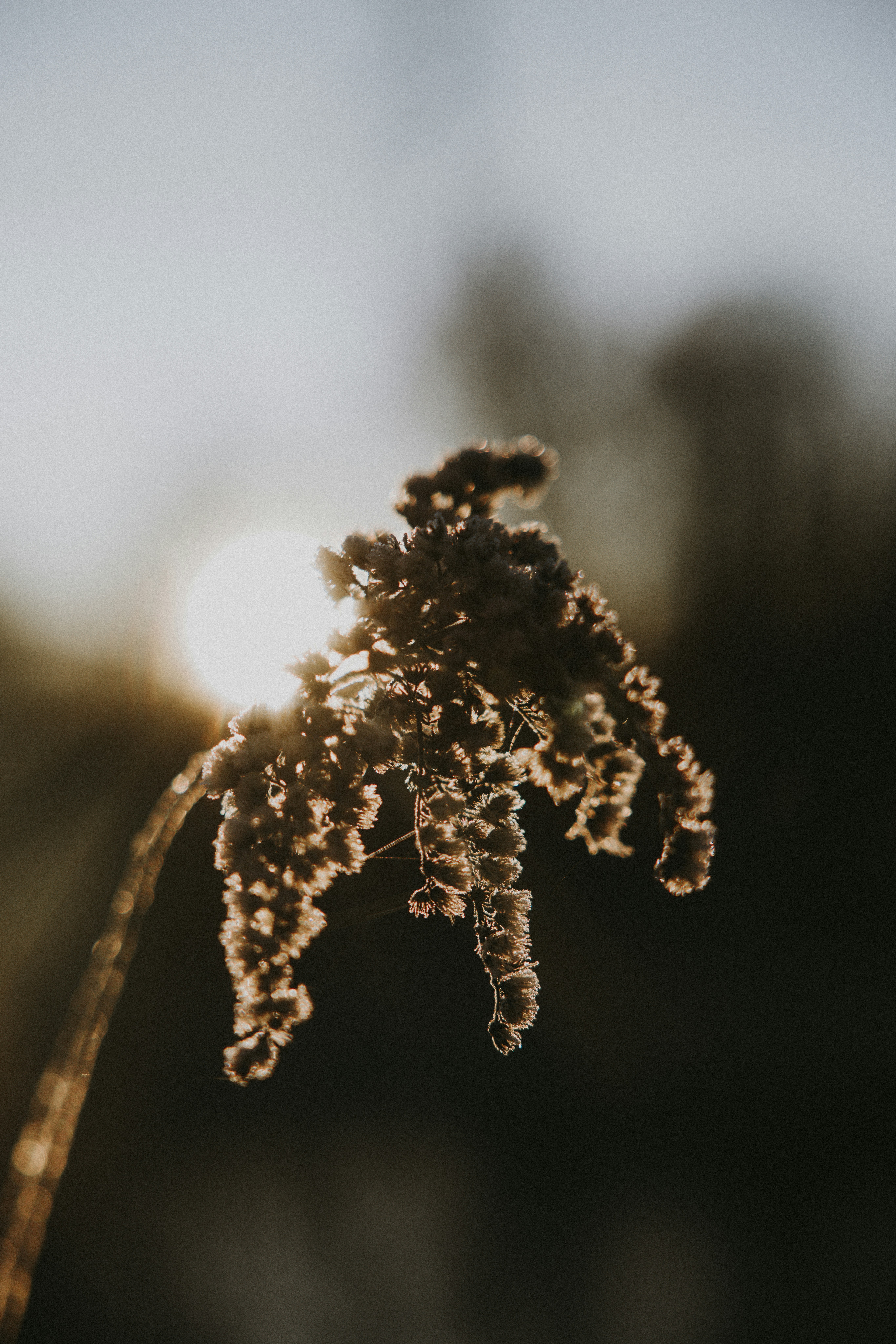 Photo by nadiacortellesi