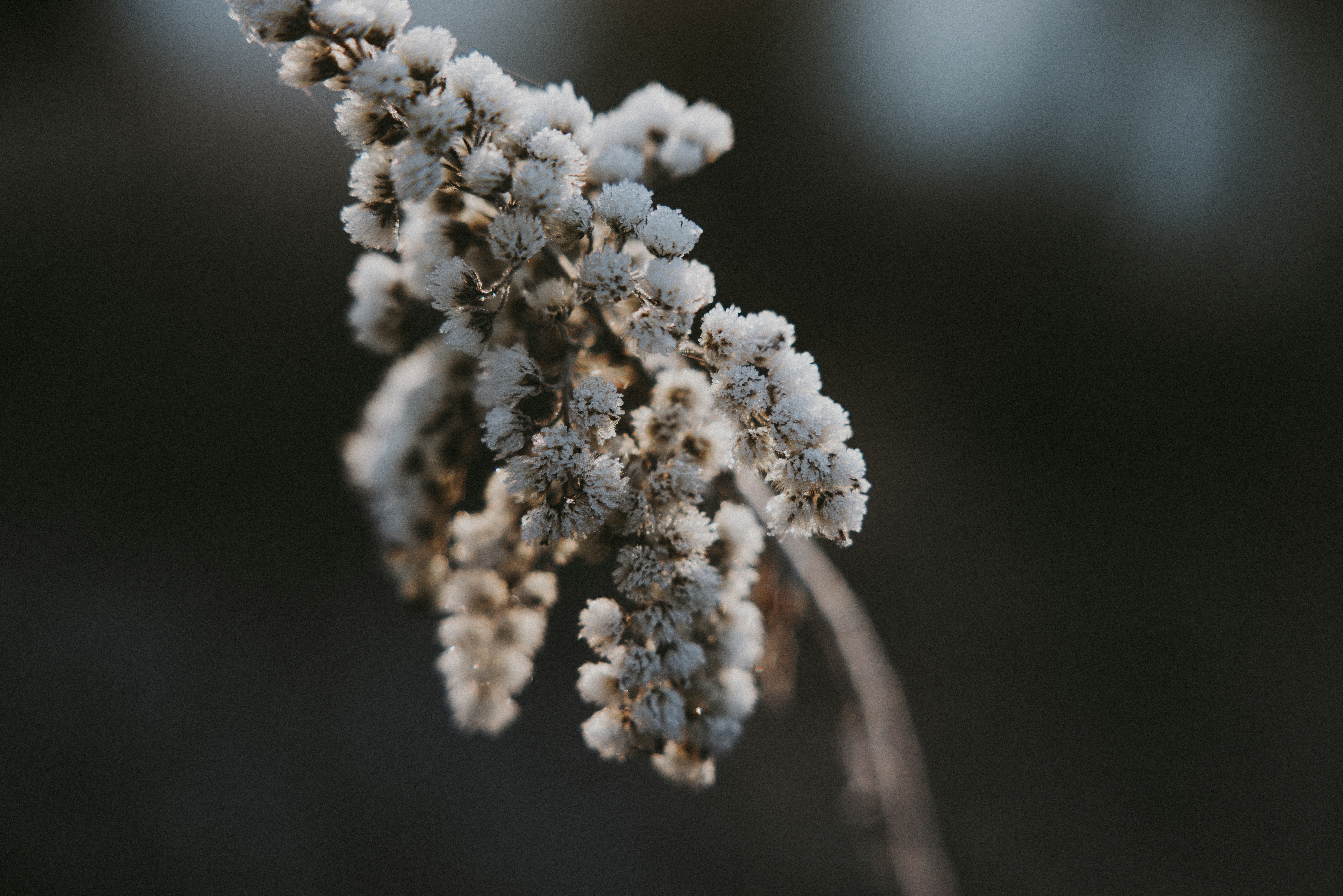 Photo by nadiacortellesi