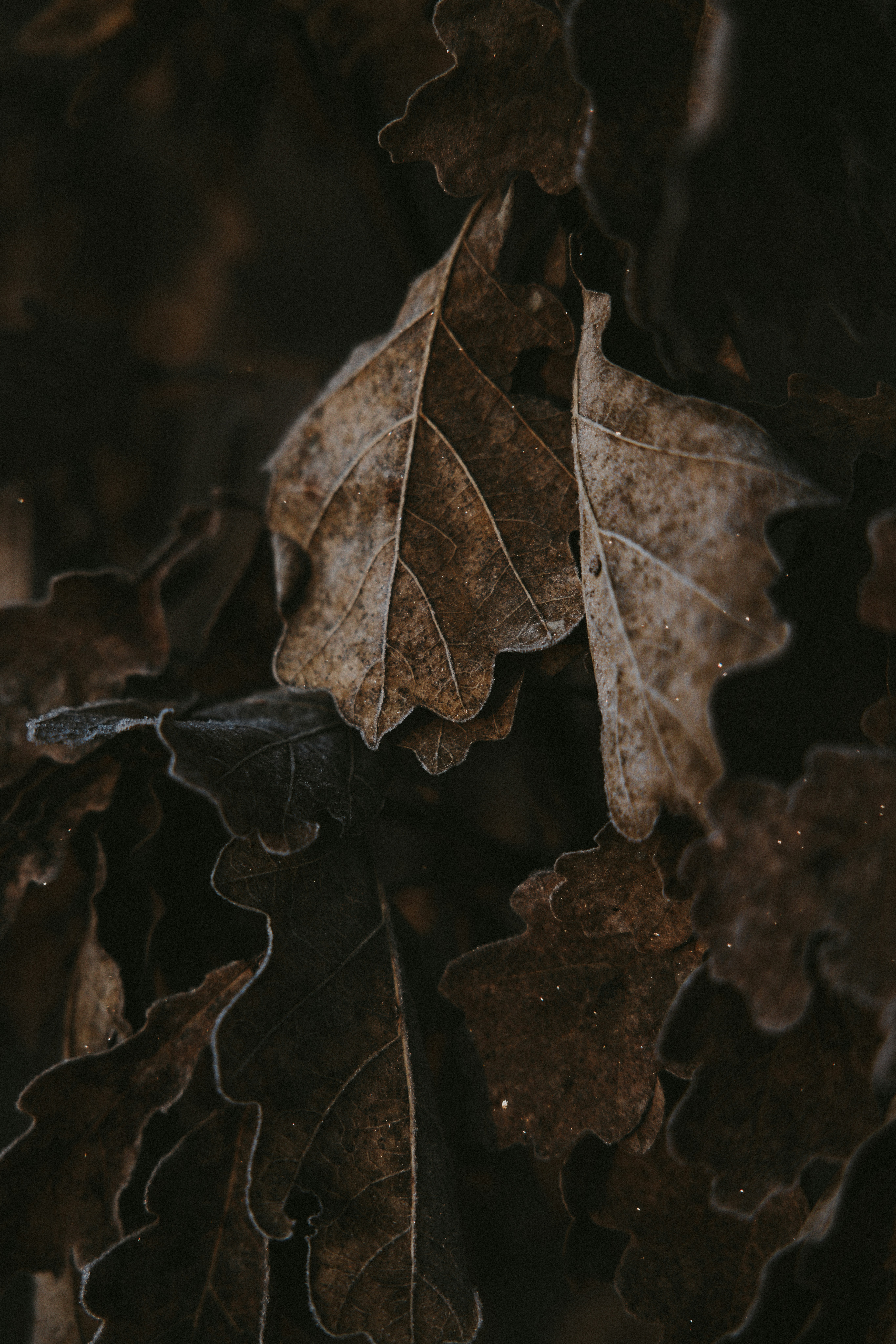 Photo by nadiacortellesi