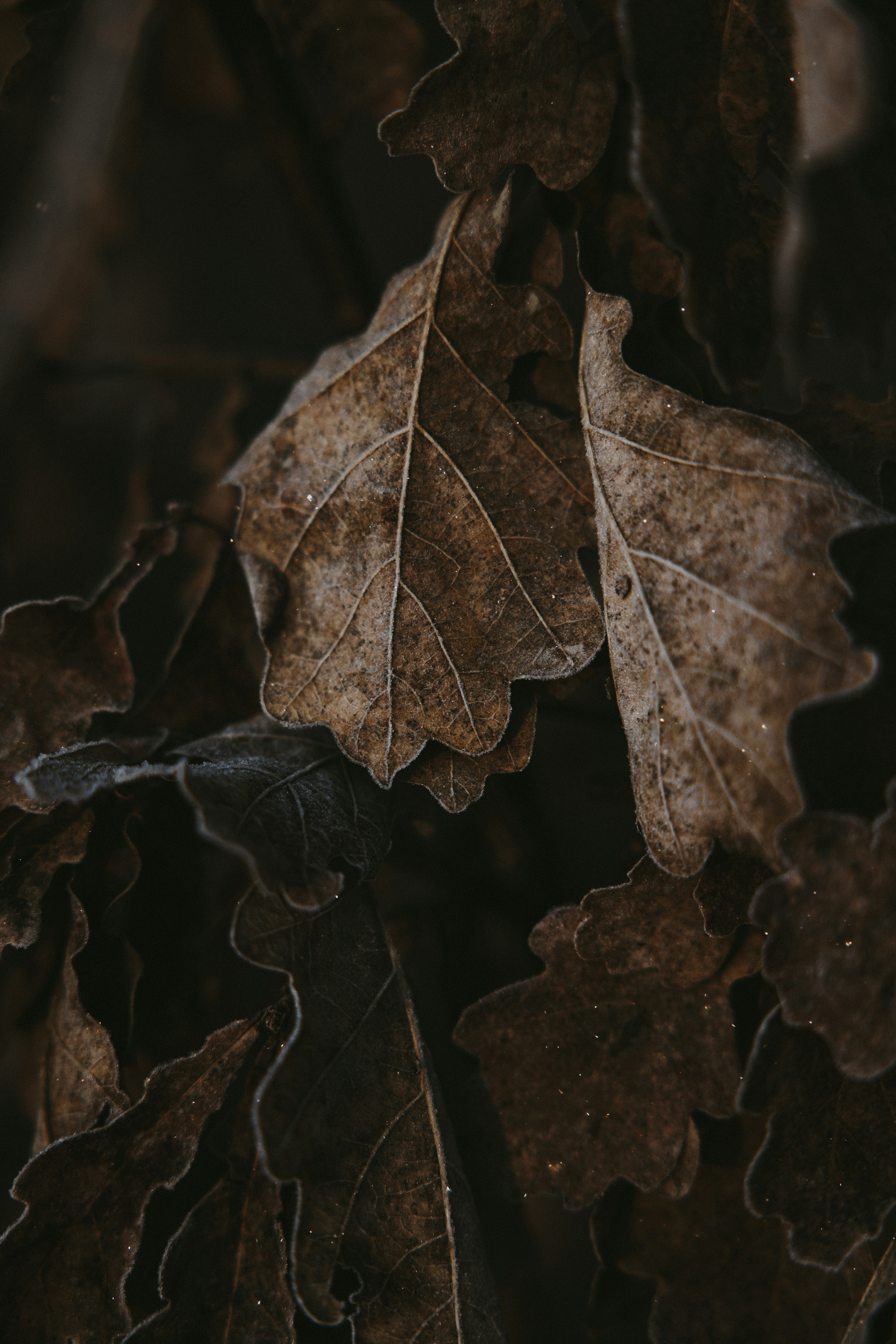 Photo by nadiacortellesi